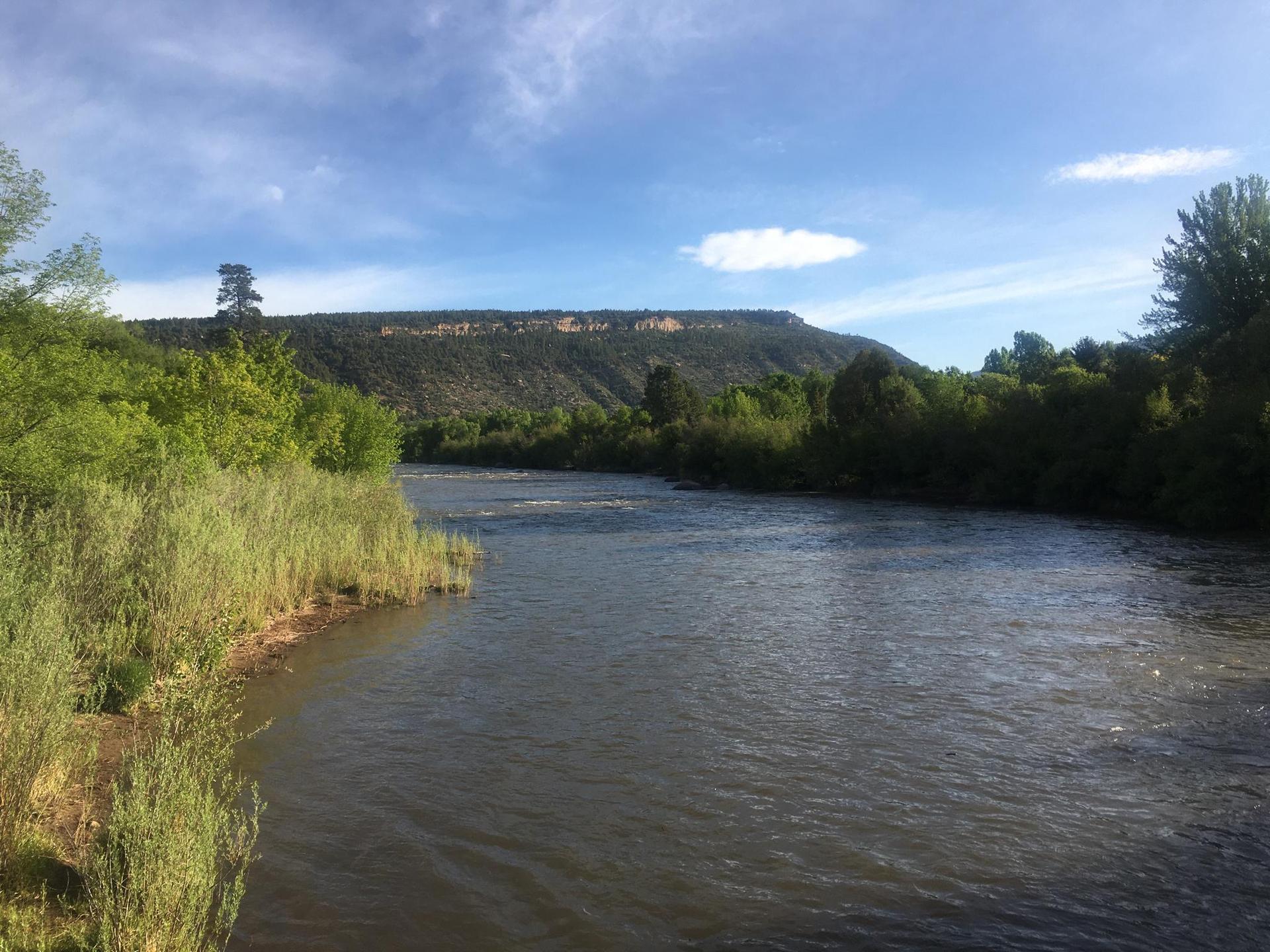 A wide river flows past lush green banks and a distant mesa.