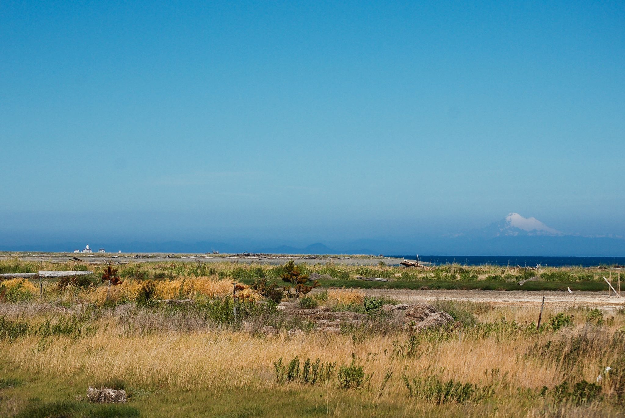 Expansive dry grass field under a clear blue sky with distant water and mountains. - Grennan Hill – View of Lighthouse loop from Sequim