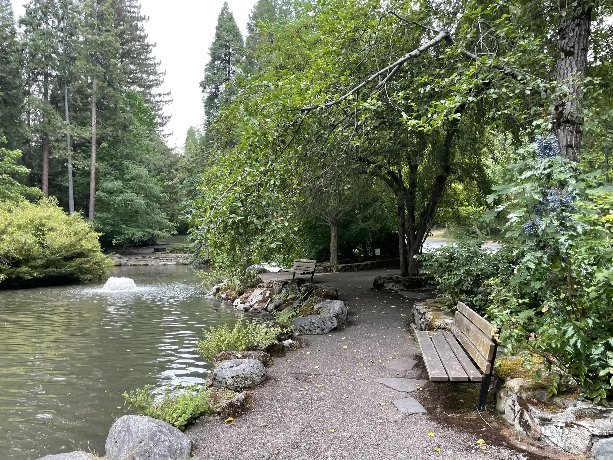 A tranquil park path beside a pond with a fountain, surrounded by lush trees. - Lithia Loop Trail