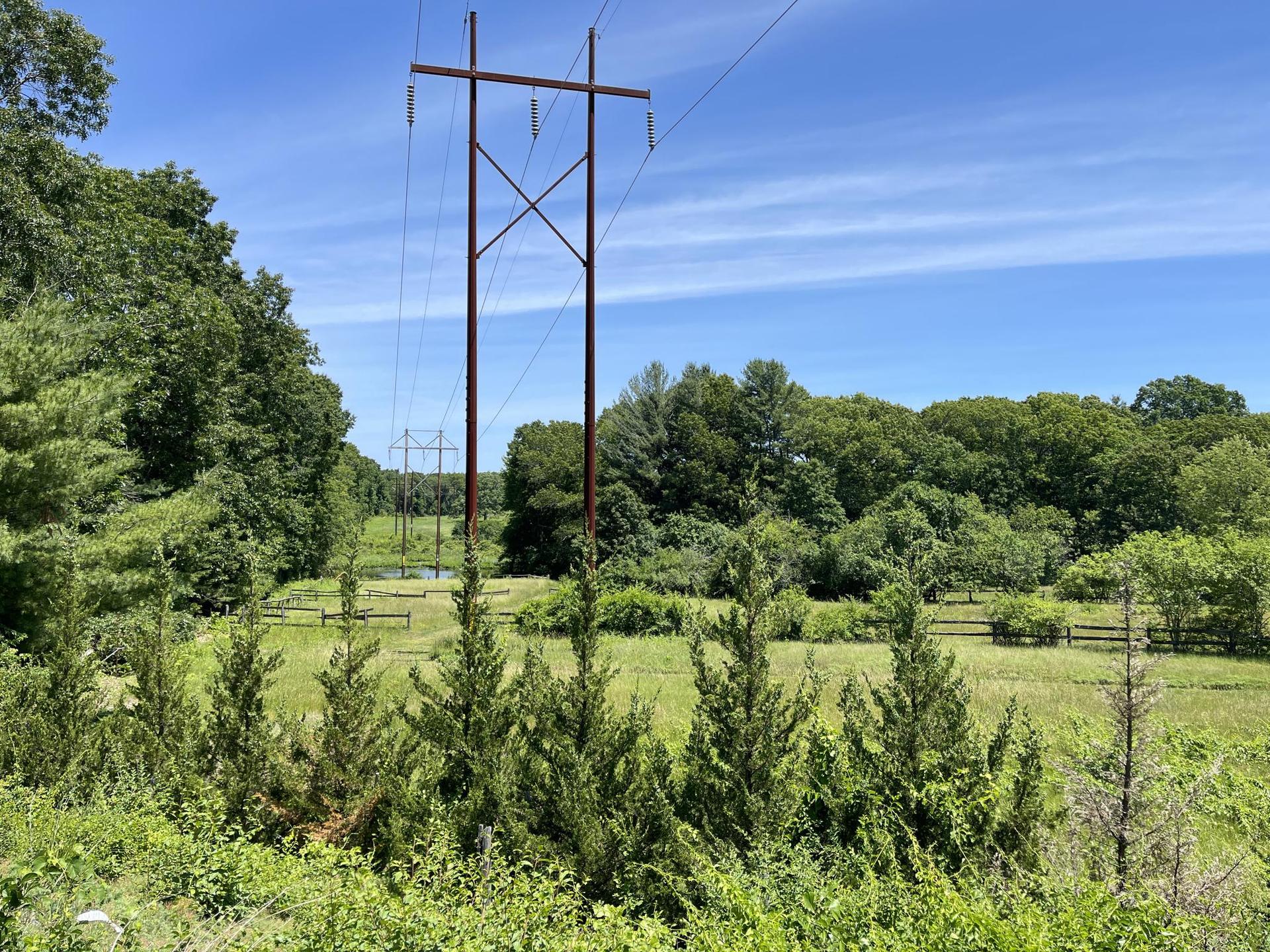 Power lines cross a sunny green field bordered by dense trees.