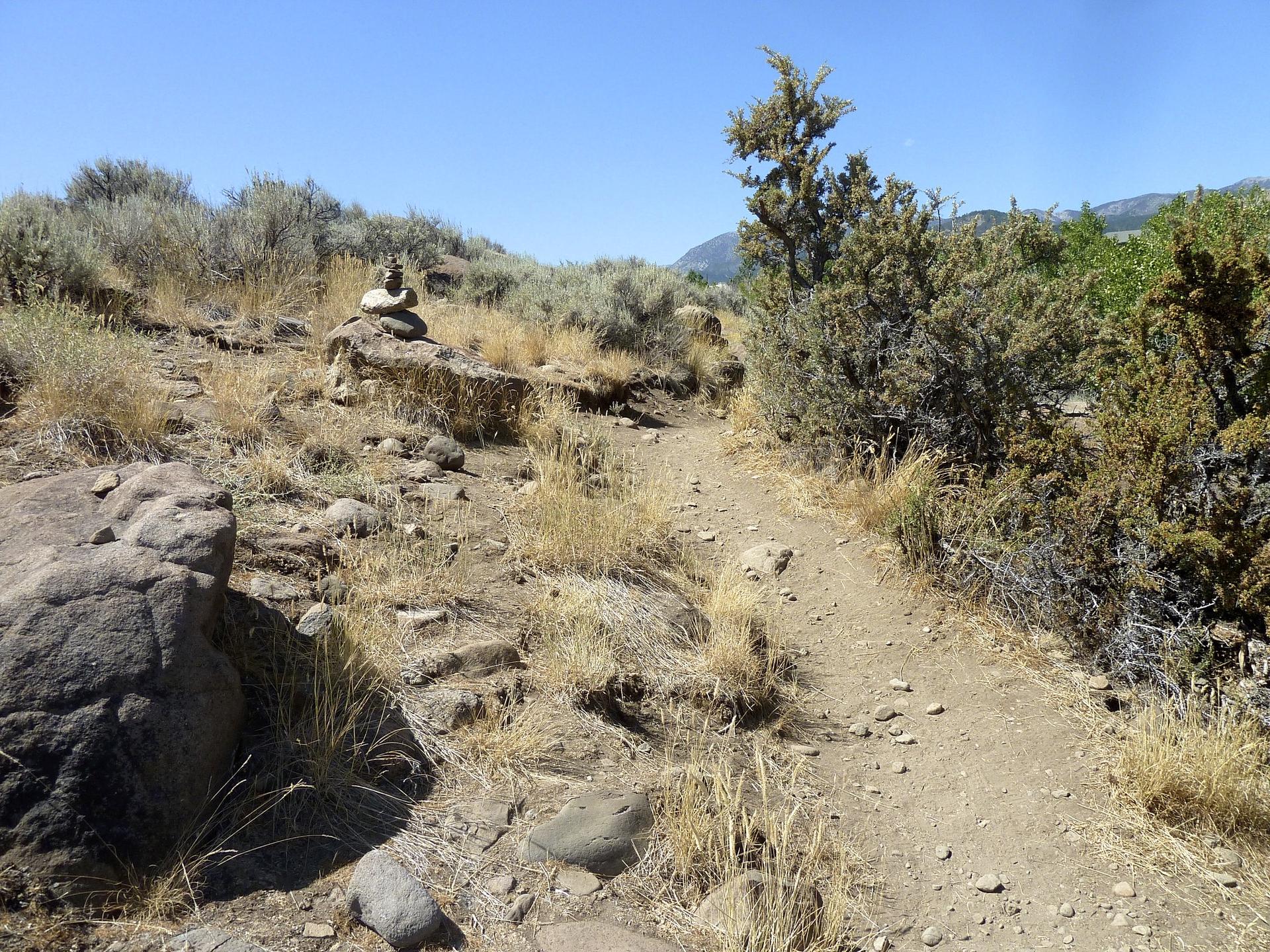 A sunny, dry dirt path winds past a rock cairn and sparse bushes.