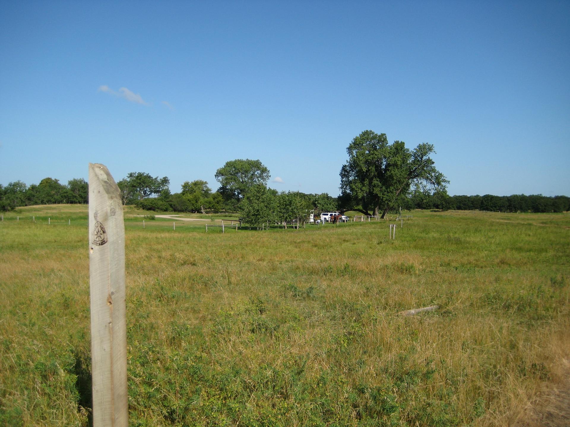 A bright, sunny day over a wide green field with distant trees.