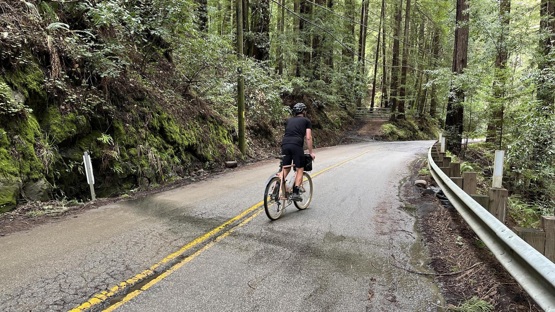 Person unicycling on a wet paved road through a dense, mossy forest.