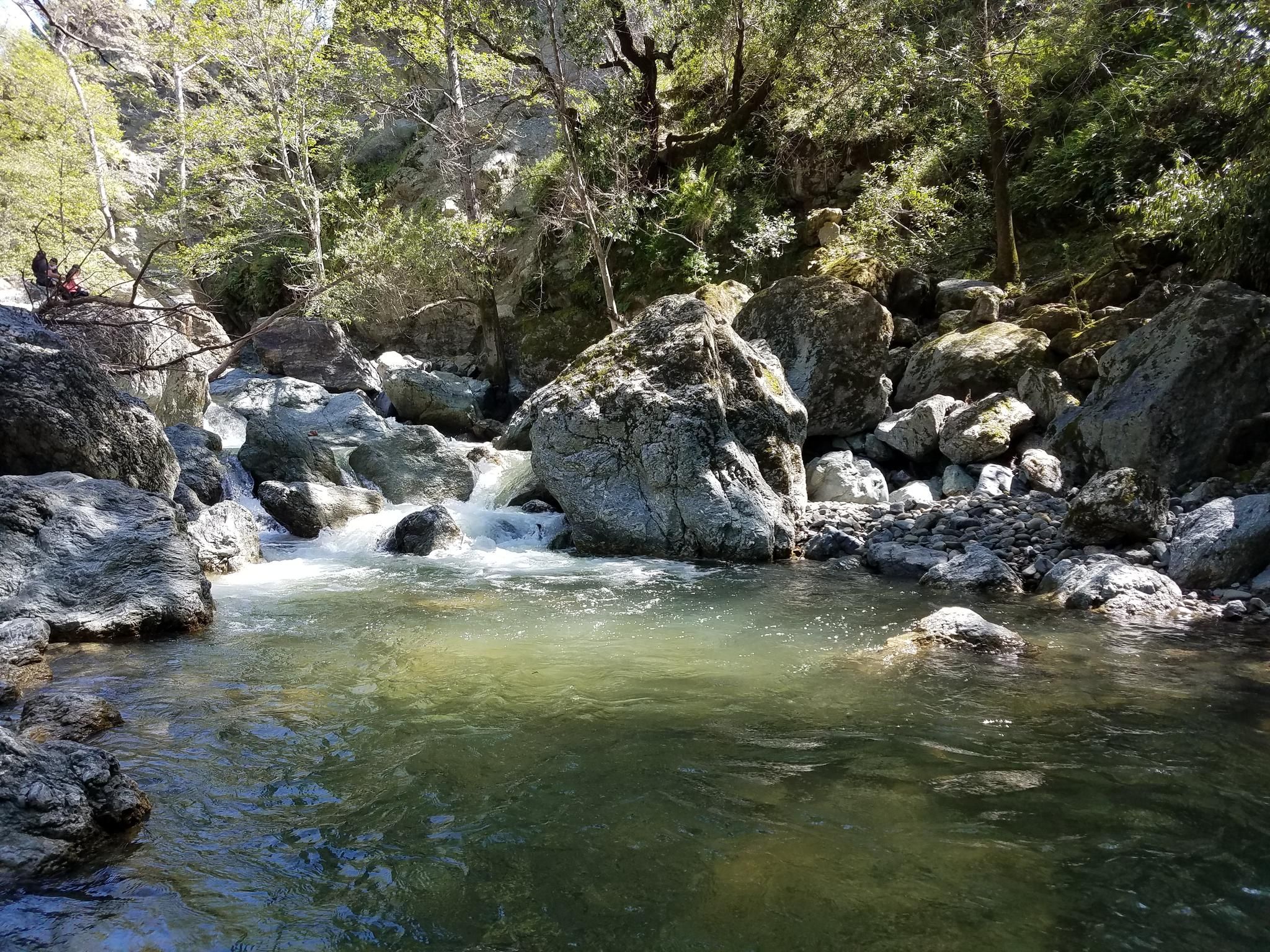 Rocky stream with clear water flowing through a shaded forest. - Canyon View and McCorkle Trail Loop