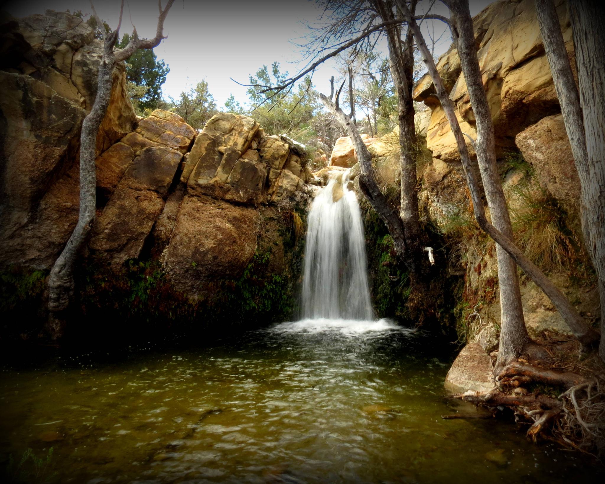 Waterfall cascading into a clear pool, surrounded by rocks and trees.