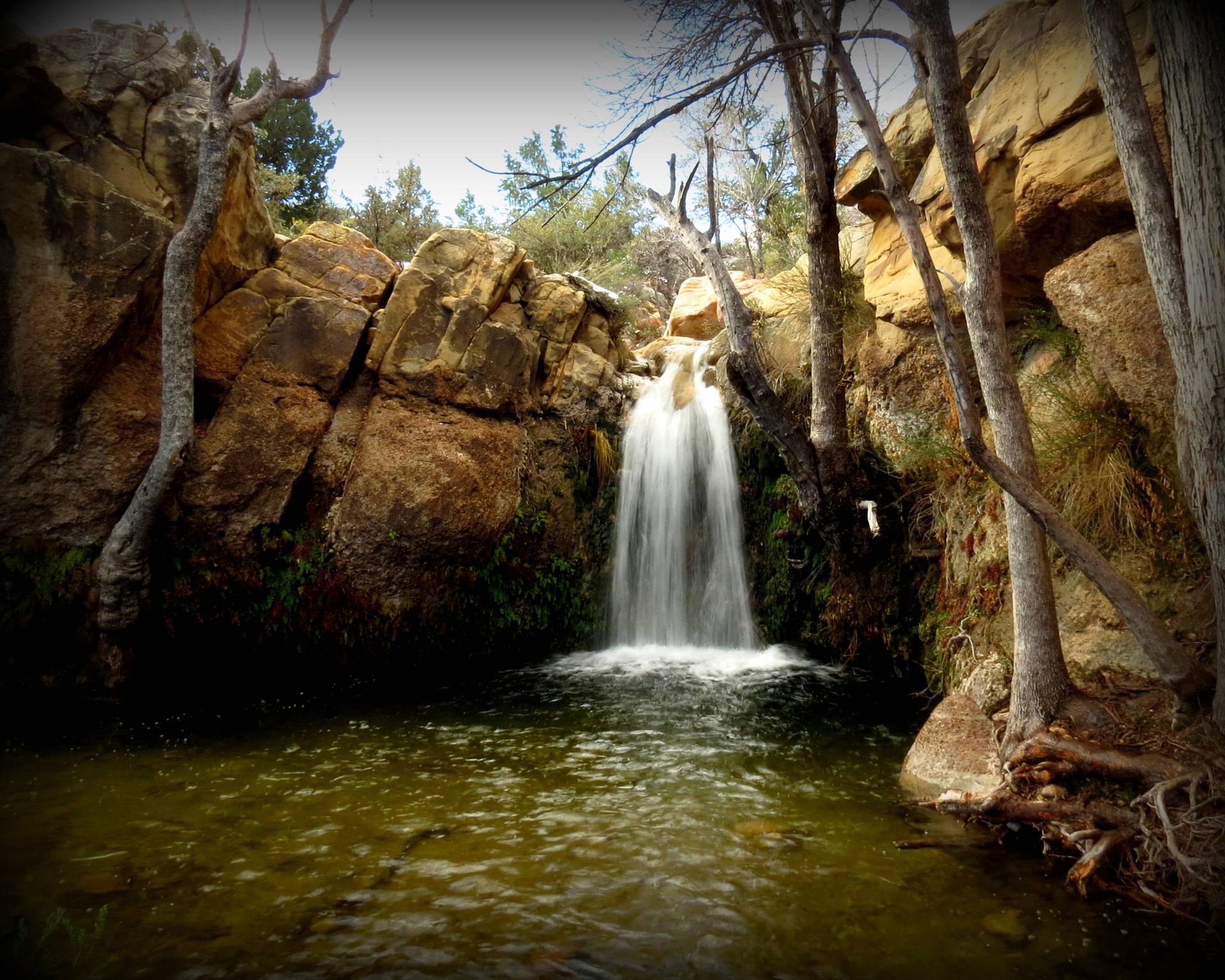 Waterfall cascading into a clear pool, surrounded by rocks and trees.