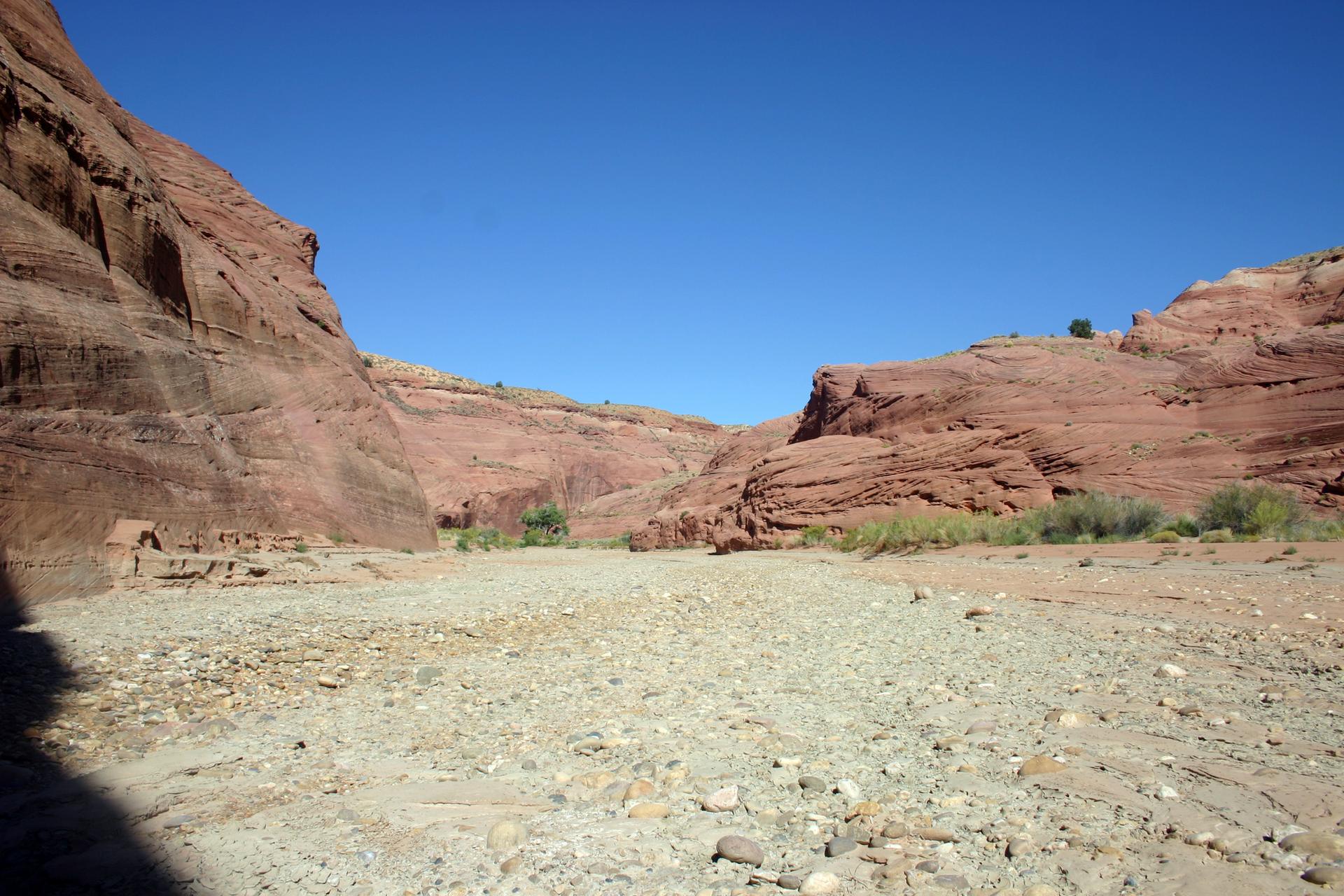 A wide, dry riverbed between towering red canyon walls under blue sky.