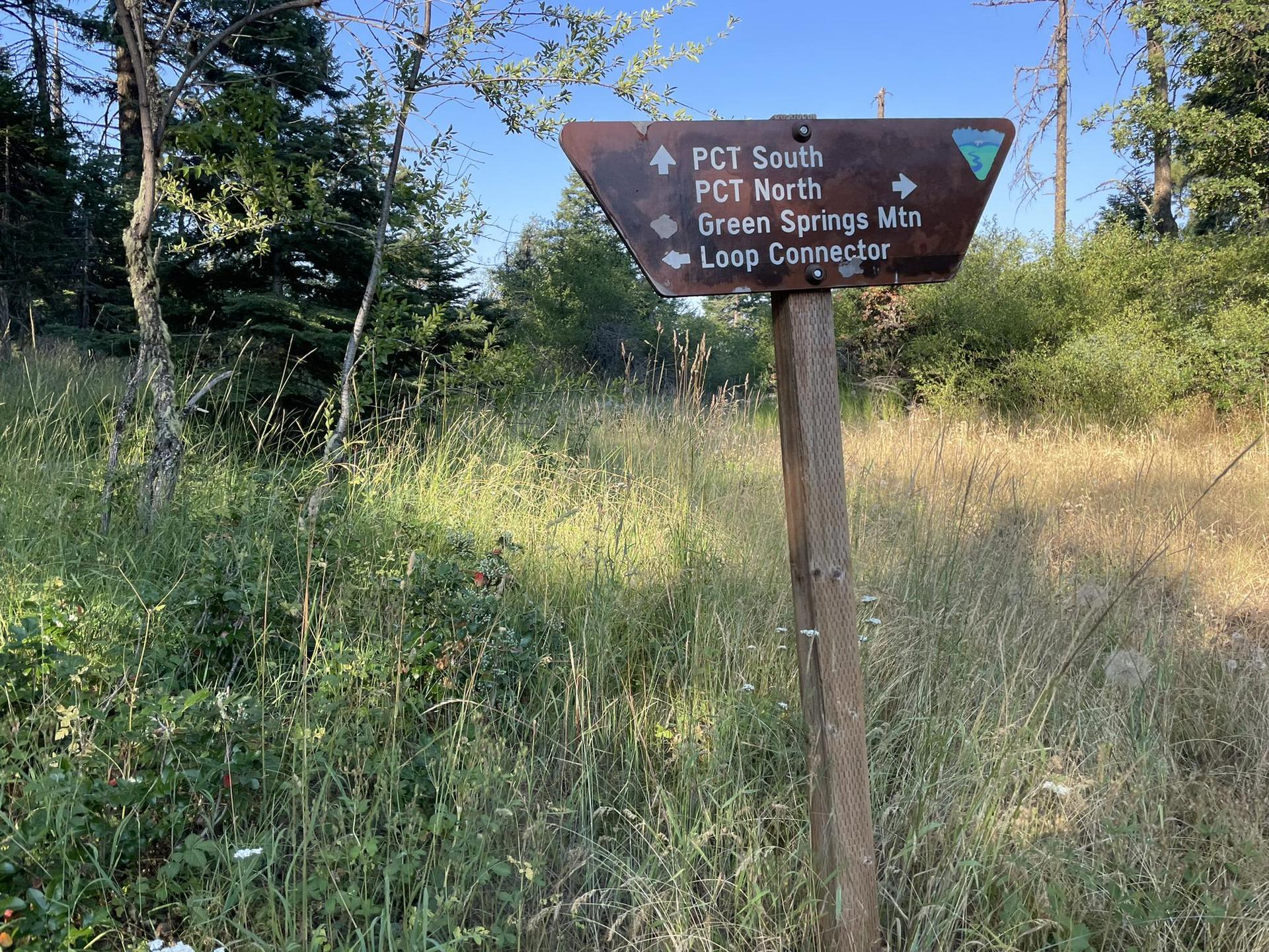 A weathered wooden trail sign with text and arrows in a grassy field.