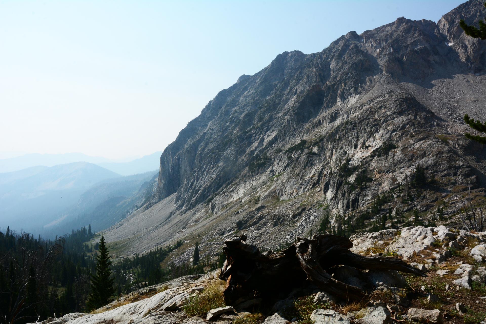 Steep rocky mountain overlooking a forested valley with a tree stump foreground.