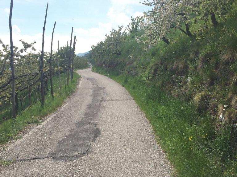 Strada secondaria Valcesara: Rennradfahren und Rennradtouren | komoot