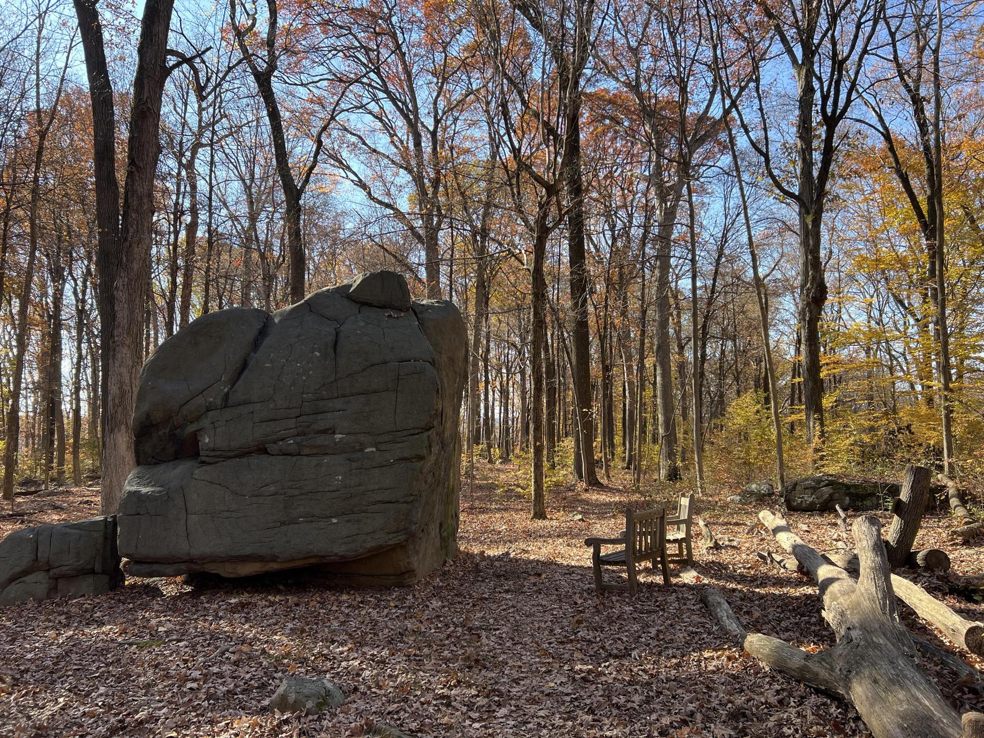 Large rock and wooden benches in a sunny autumn forest with fallen leaves.