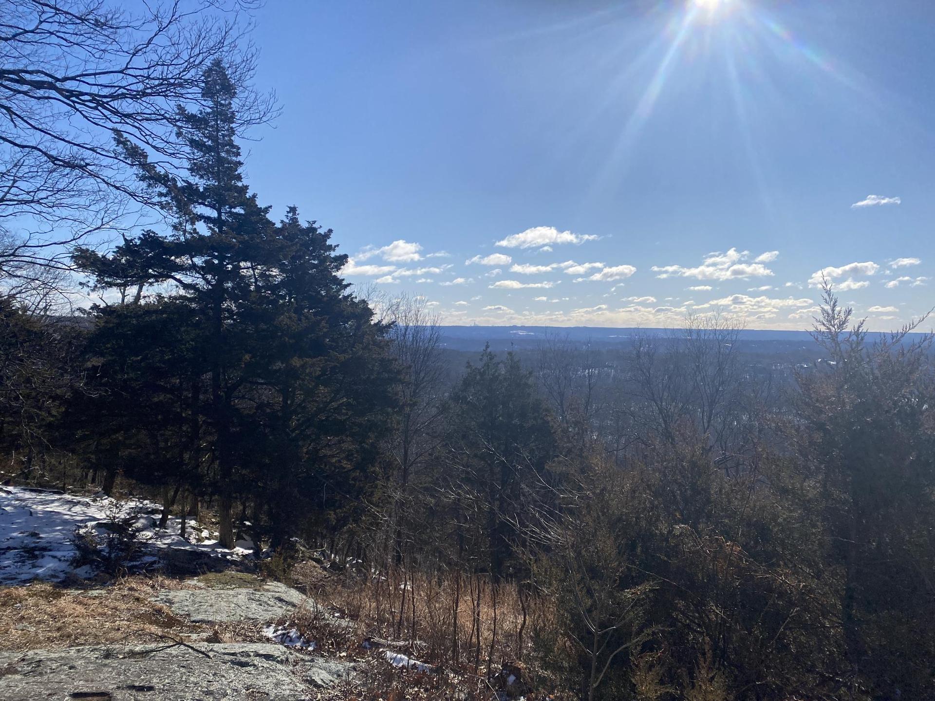 Sunny winter forest view with snow patches and distant horizon.