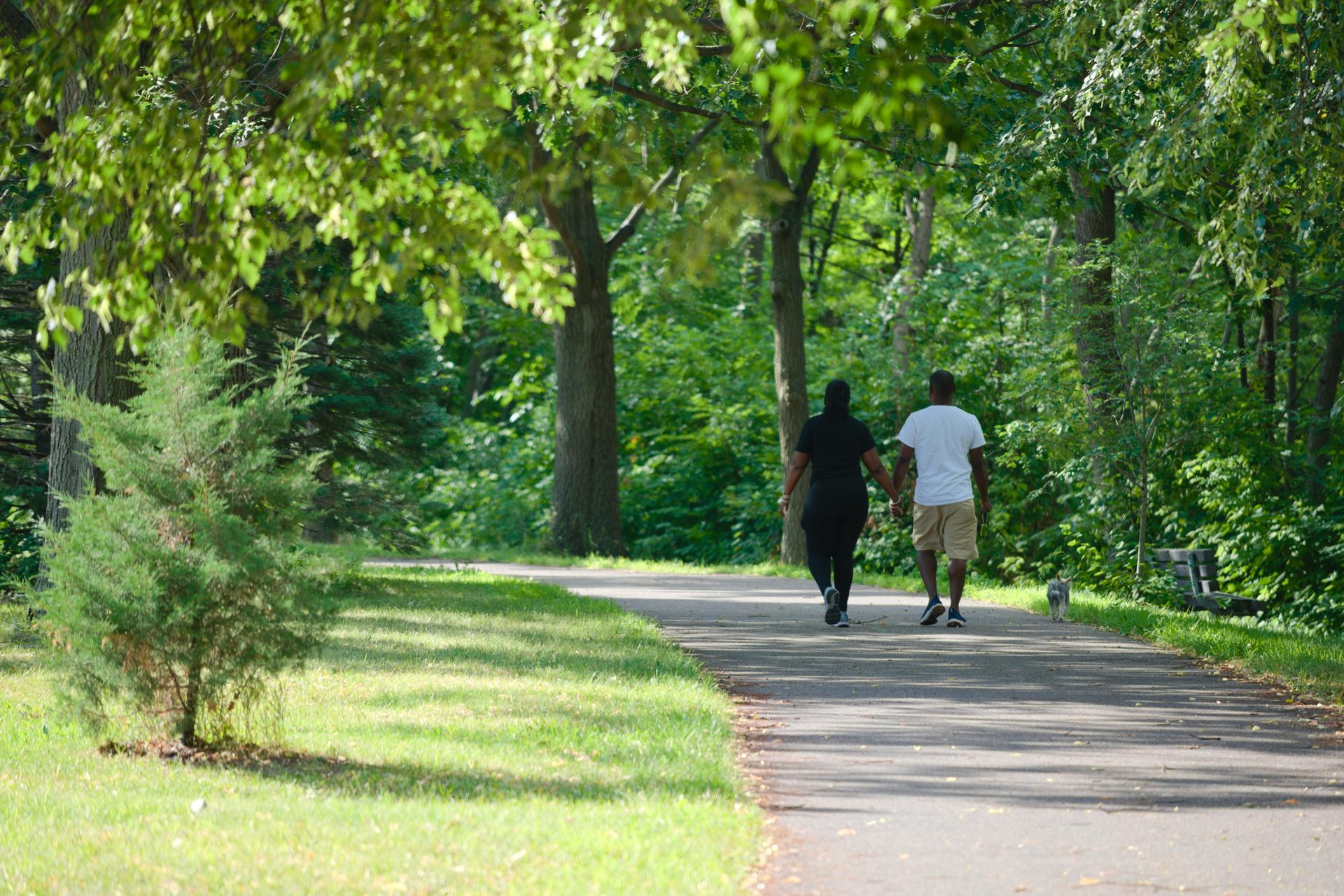 Two people walk on a sunny paved path through a lush green forest.