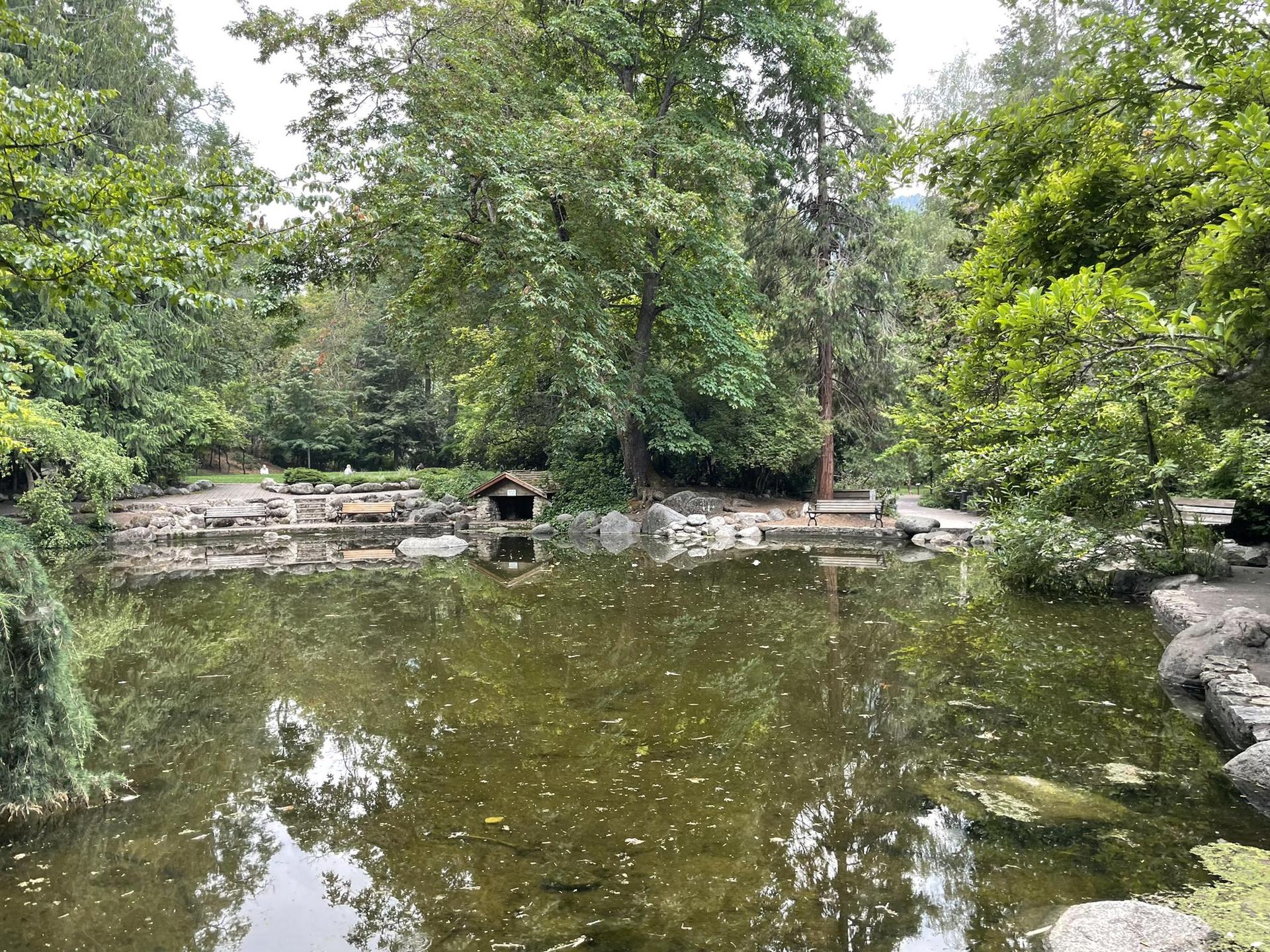 A serene pond with a small boathouse and lush green trees under soft light.