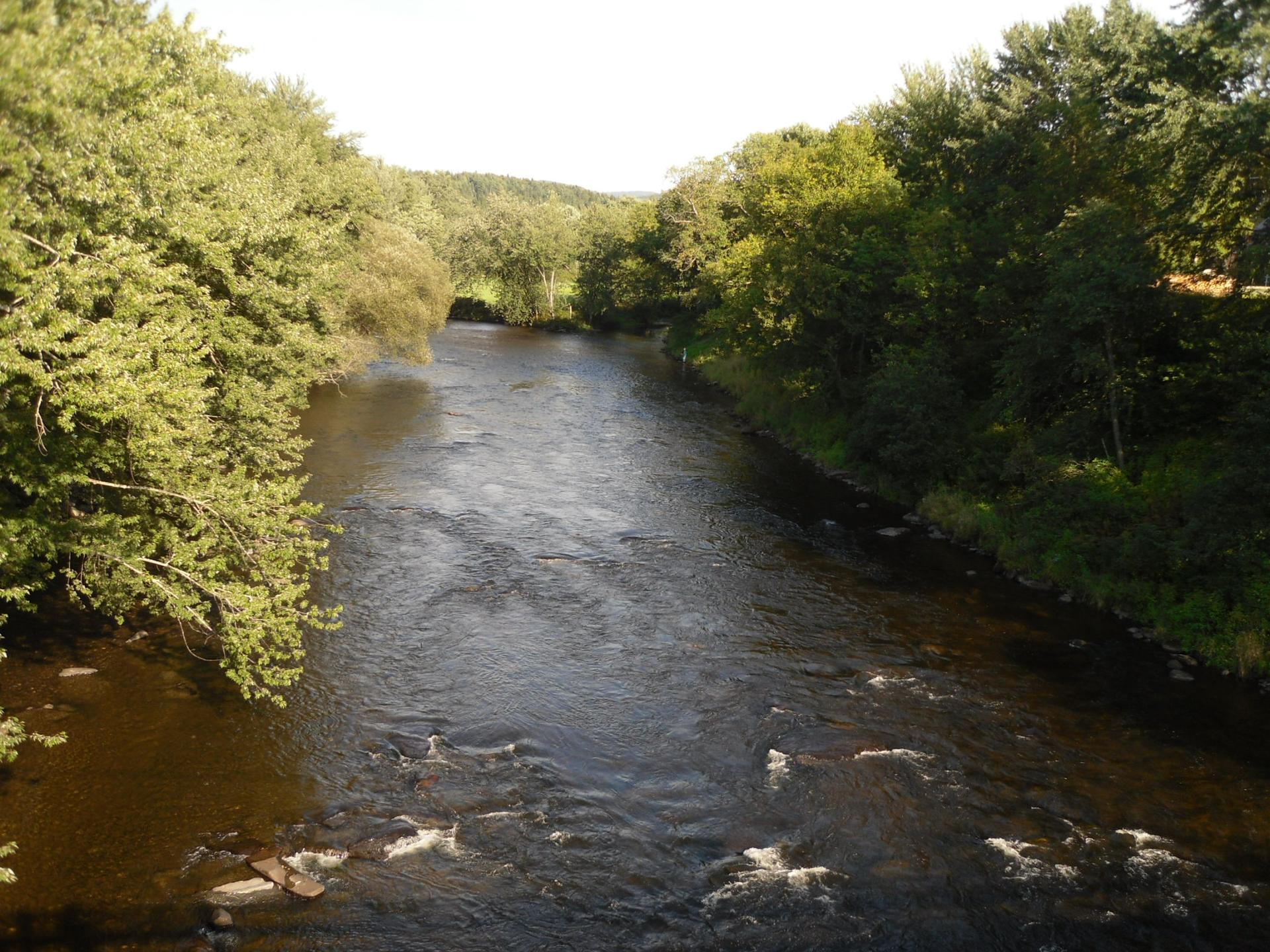 A wide river flows through a dense green forest under bright daylight.