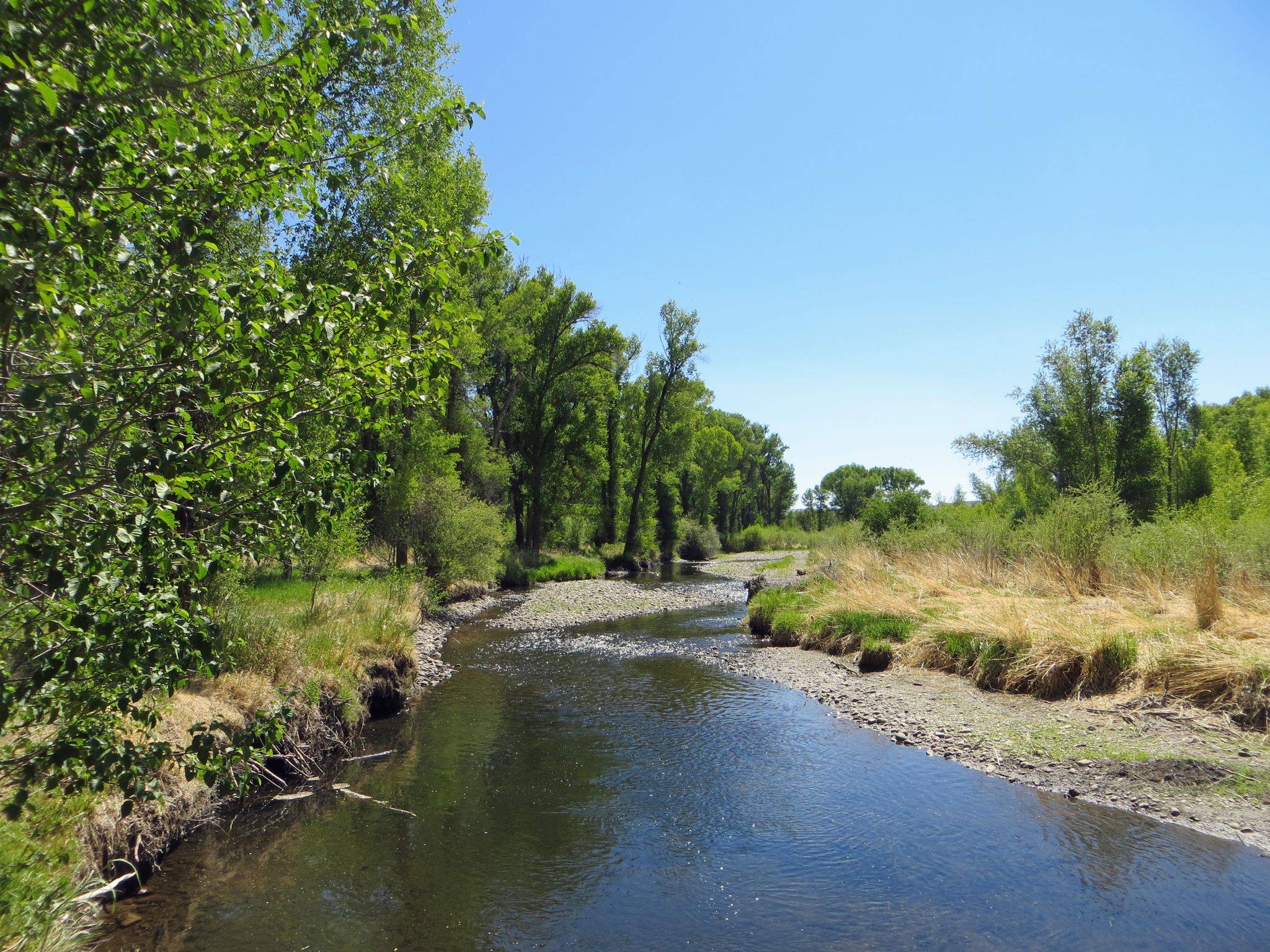 A calm river flows through green trees and dry banks under a clear sky. - Neversink Trail