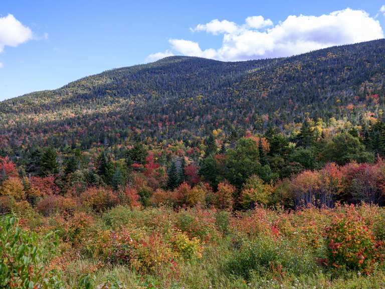 Redeke Cabin to Graham Wangan Overlook | ride | Komoot