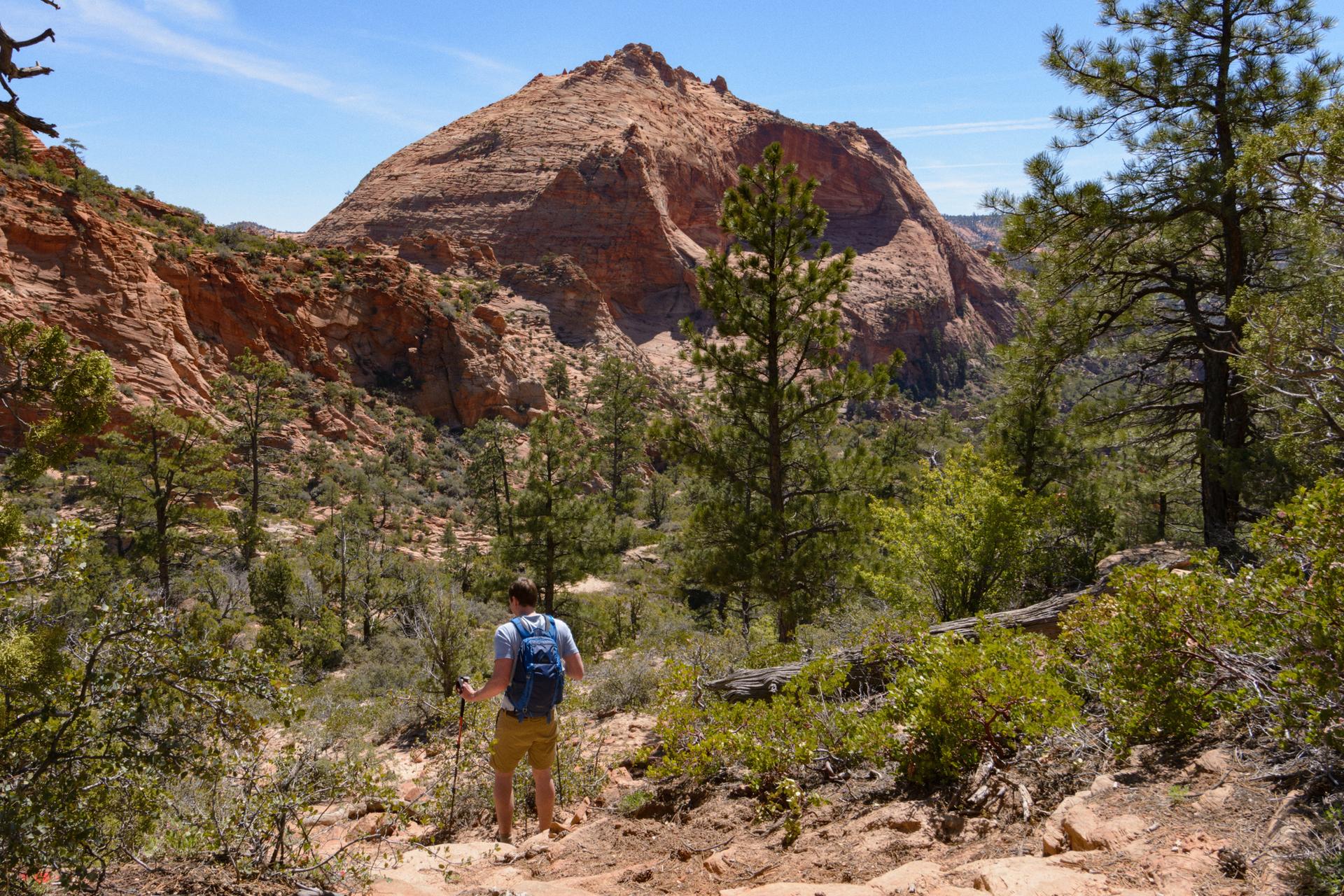 A hiker with a backpack on a rocky path, surrounded by pine trees and red cliffs.