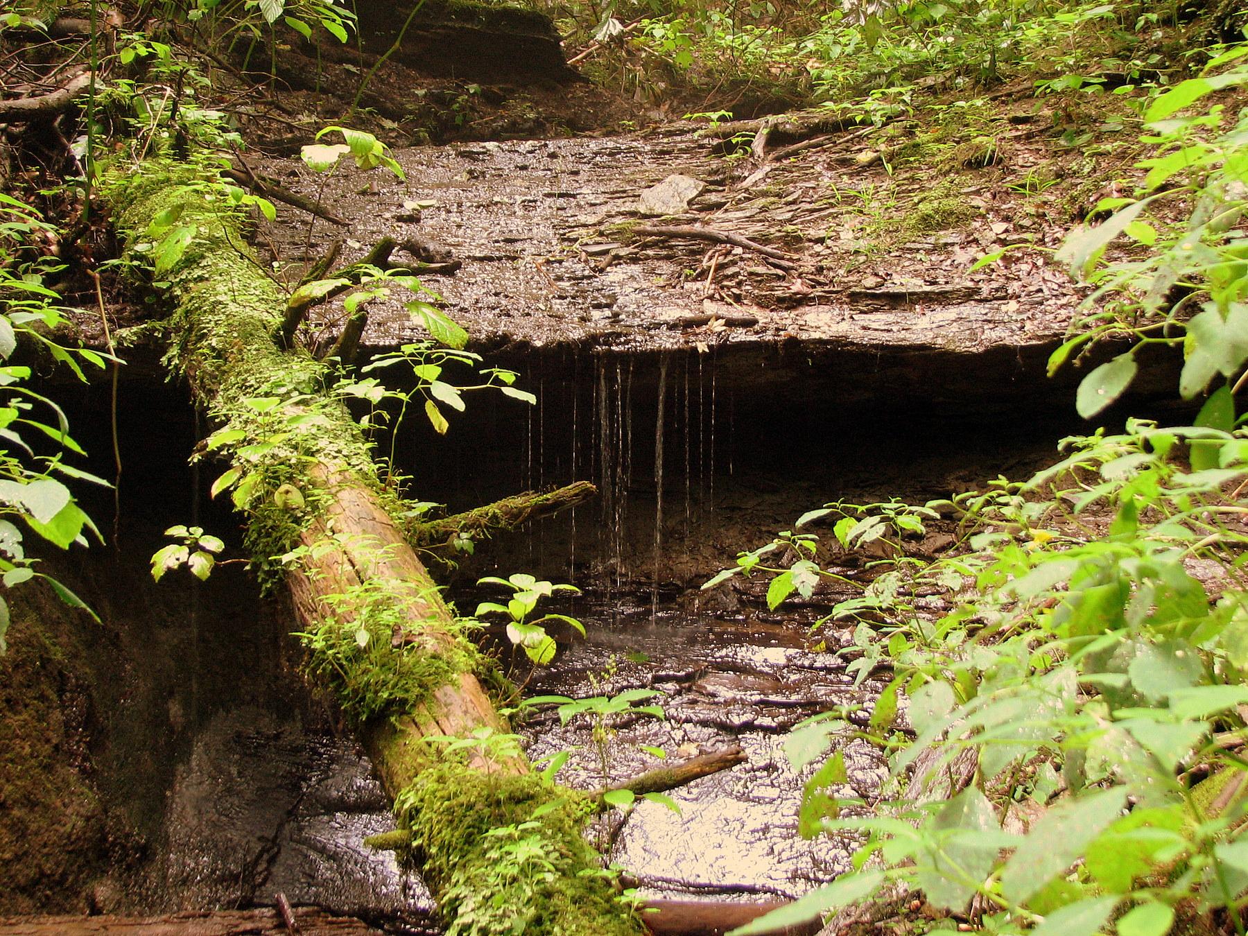 Small waterfalls cascade over a rocky ledge next to a mossy log.