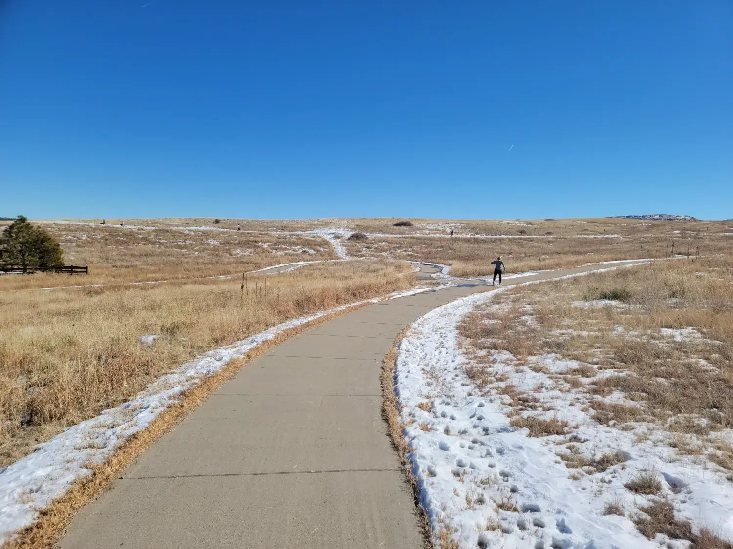 Sunny paved path through snowy, dry grass with a distant person.
