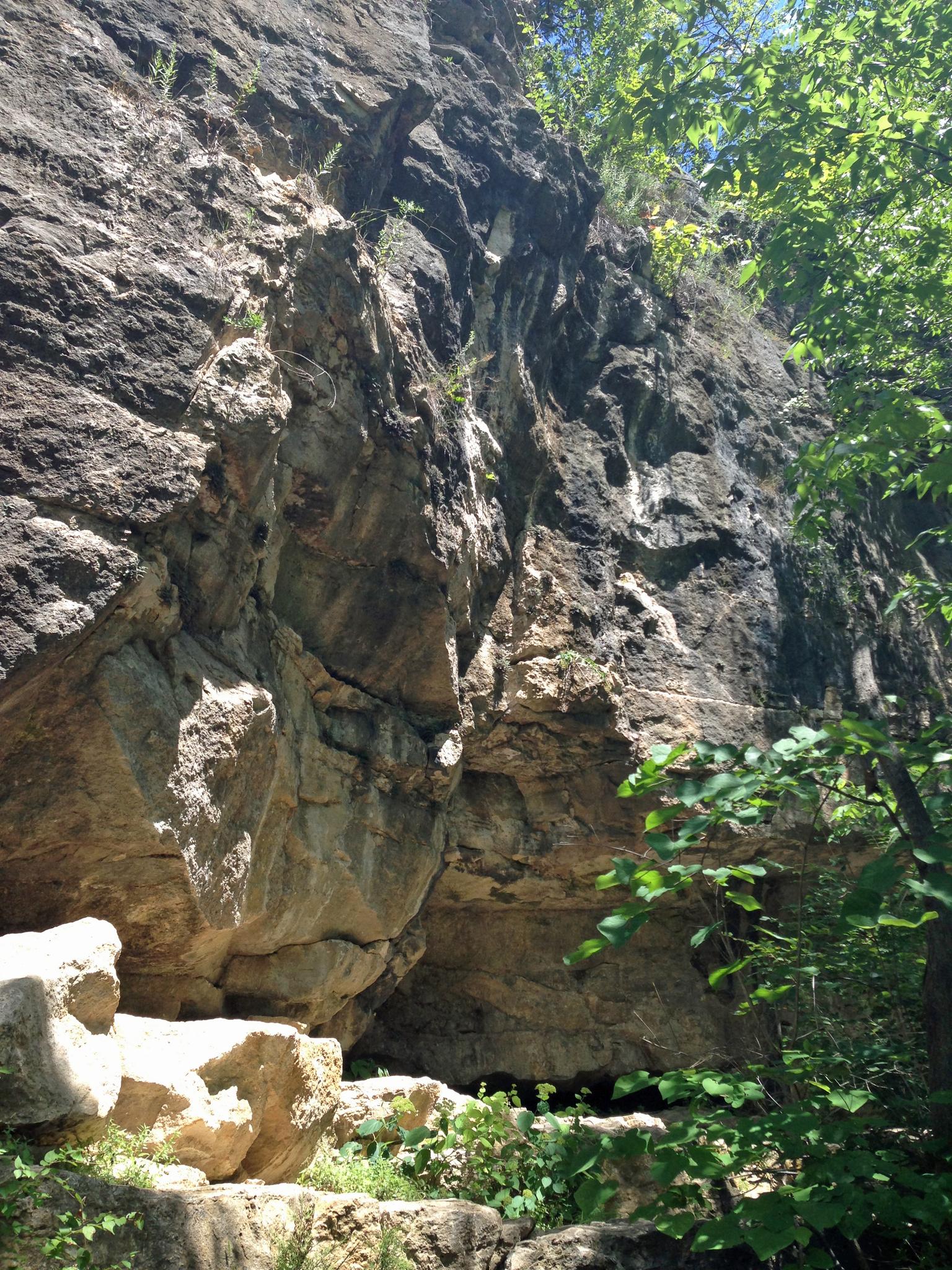 Towering, textured rock cliff face with green foliage in bright sunlight.