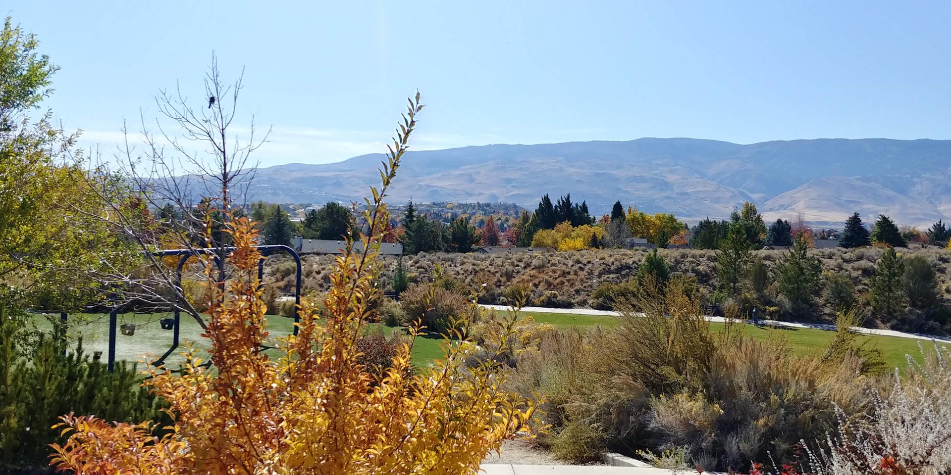Sunny view of mountains, vibrant autumn trees, and a green park area.