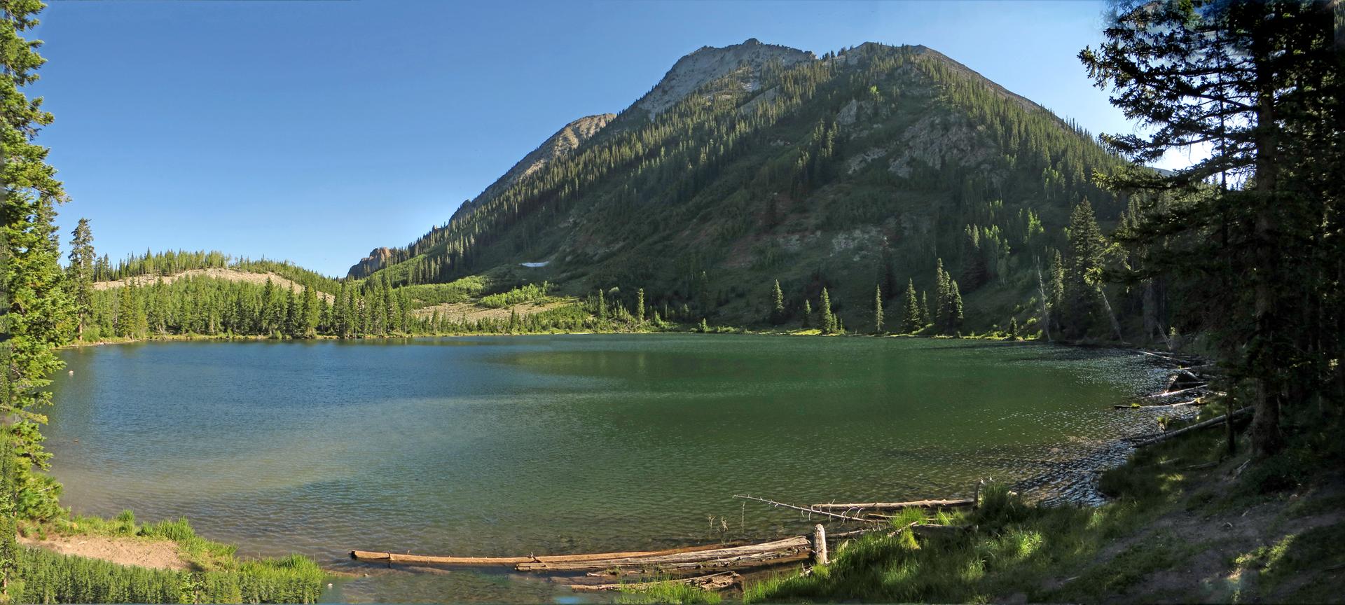 Bright daylight illuminates a calm mountain lake surrounded by dense evergreen forests.