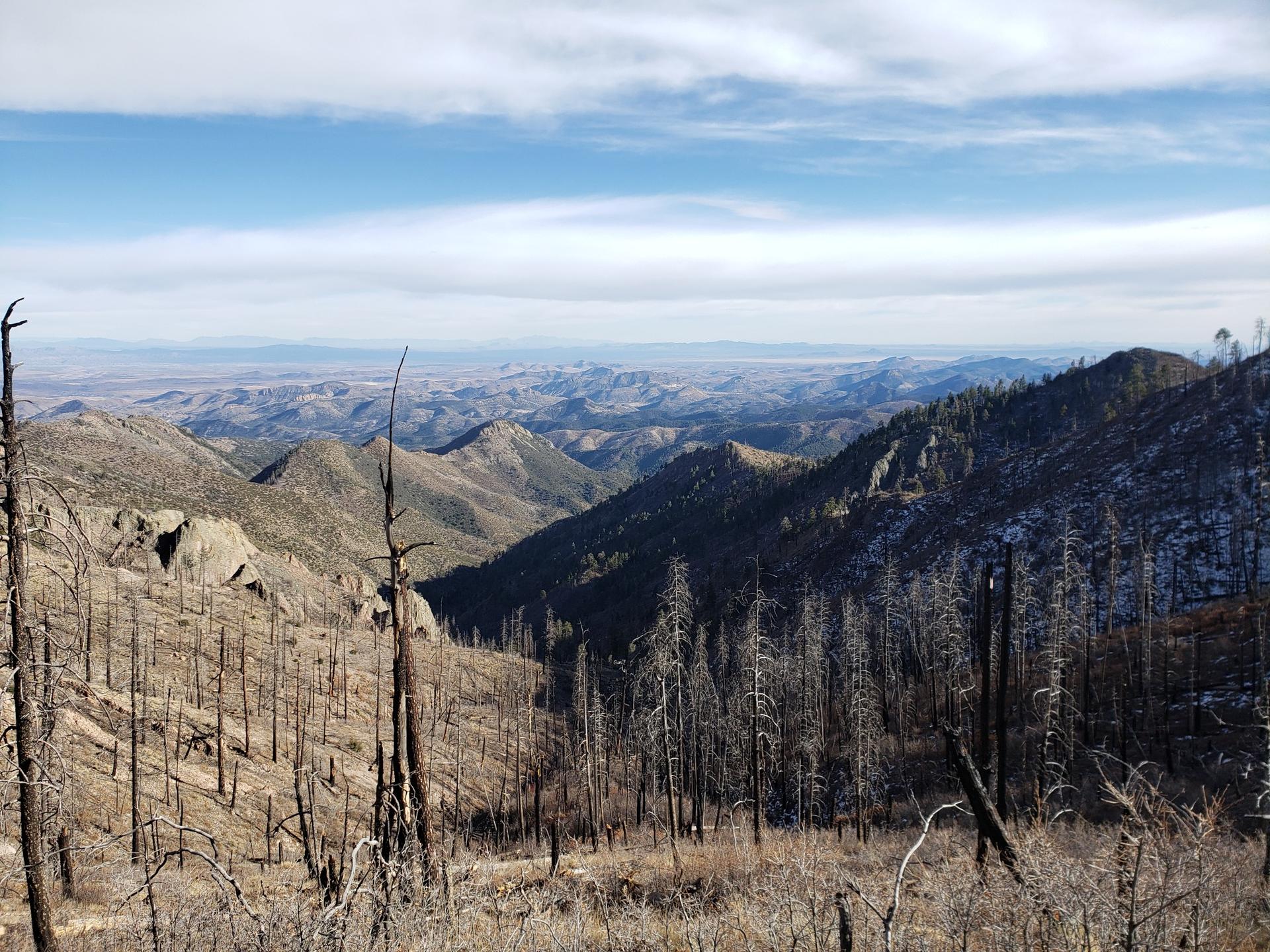 Vast mountain landscape with numerous dead trees under a partly cloudy sky.