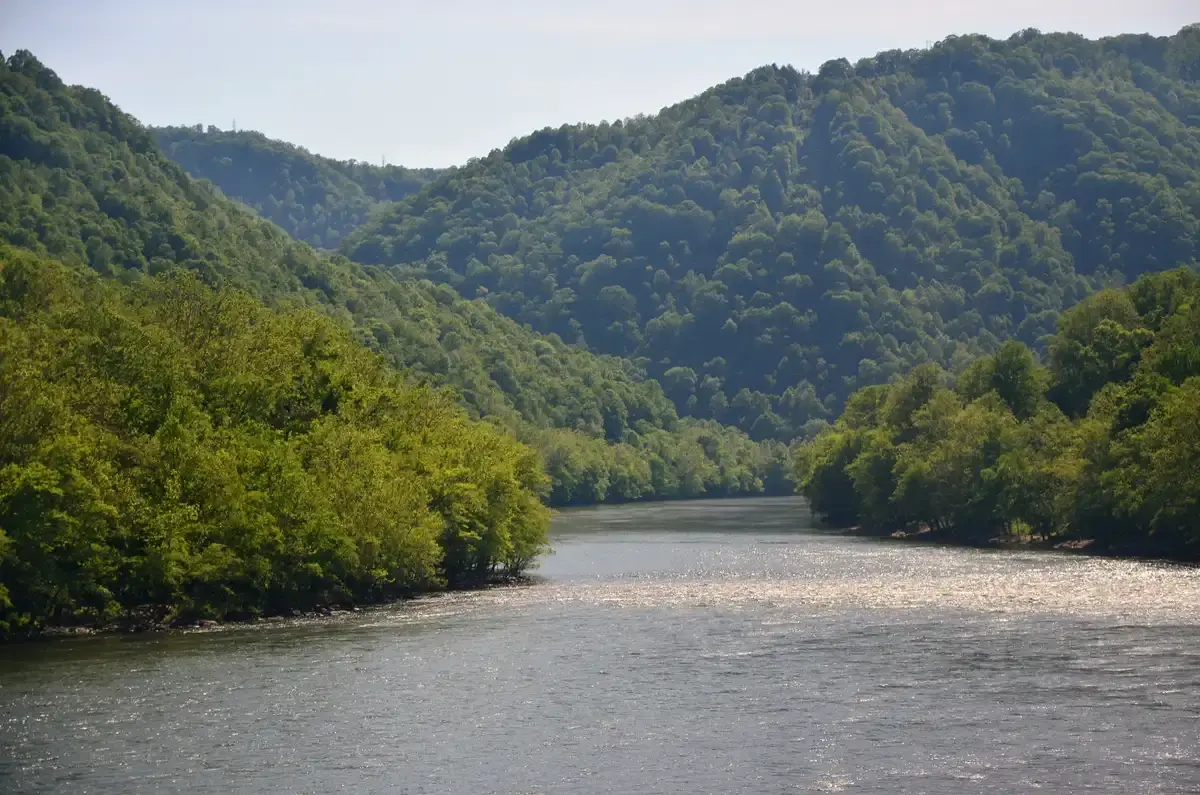 Wide river flows through lush green forested mountains on a bright day.