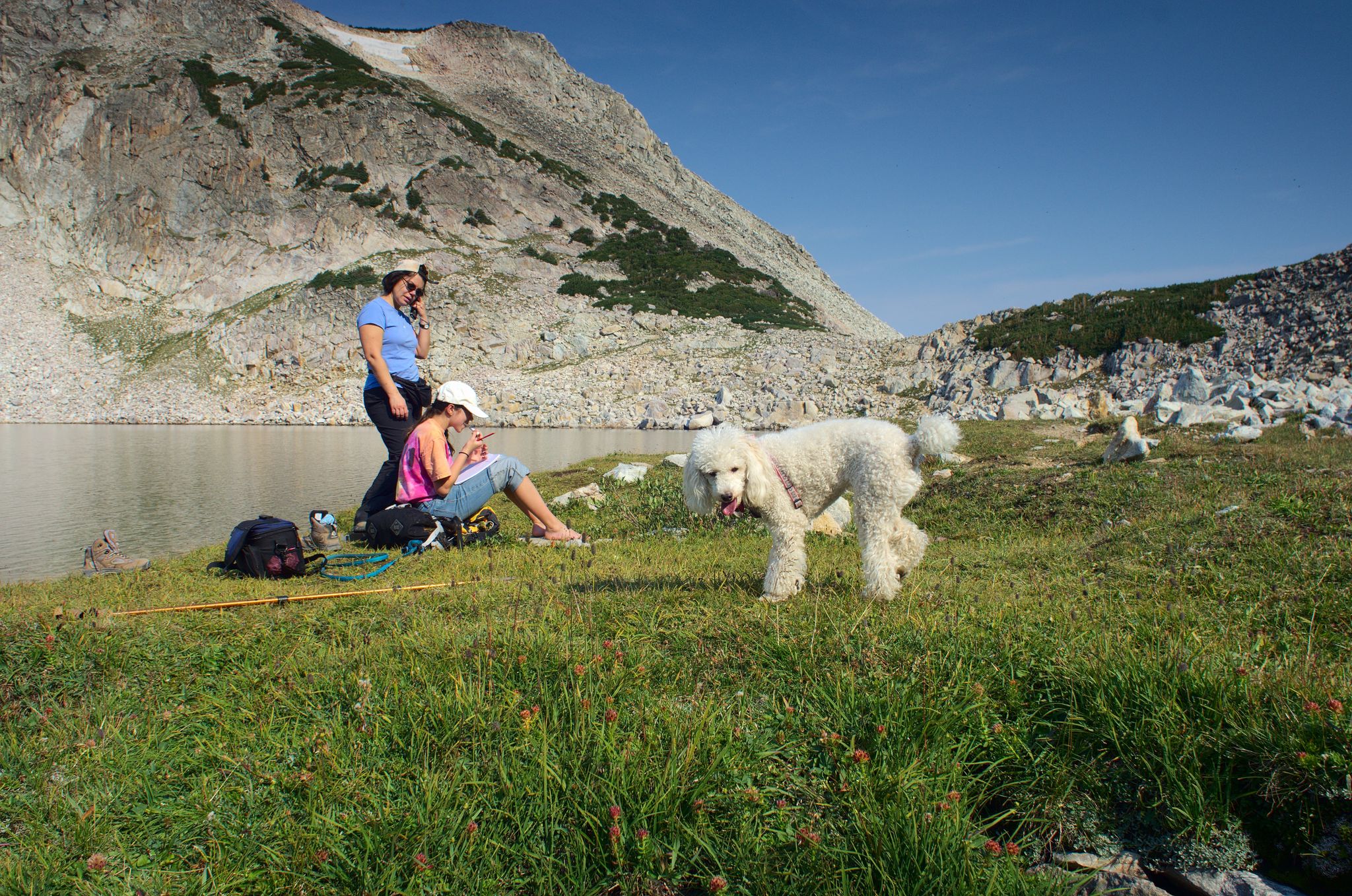 Two women and a white dog by a lake, sunny mountain backdrop. - Gap Lakes Trail