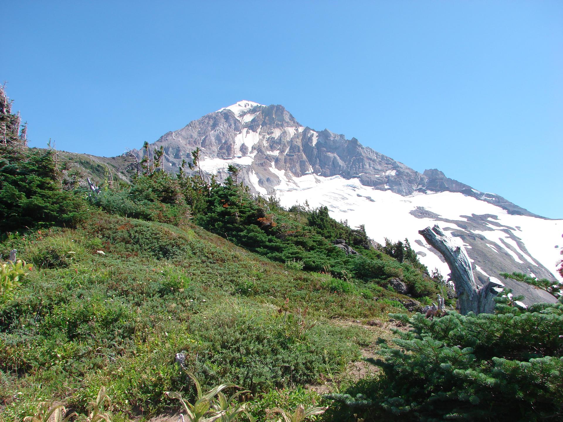 Majestic snow-capped mountain dominates a green hillside under a clear blue sky.