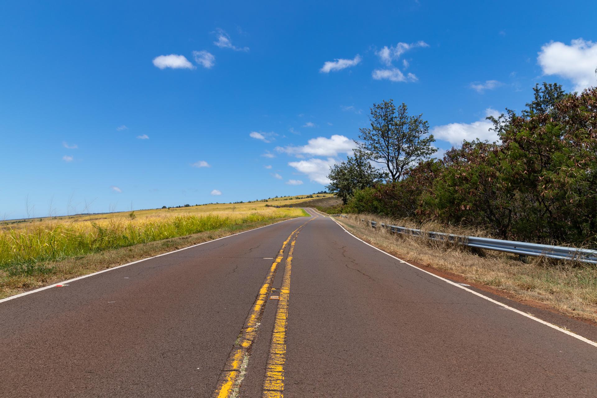 Paved road winding through a sunny, golden field with blue sky.