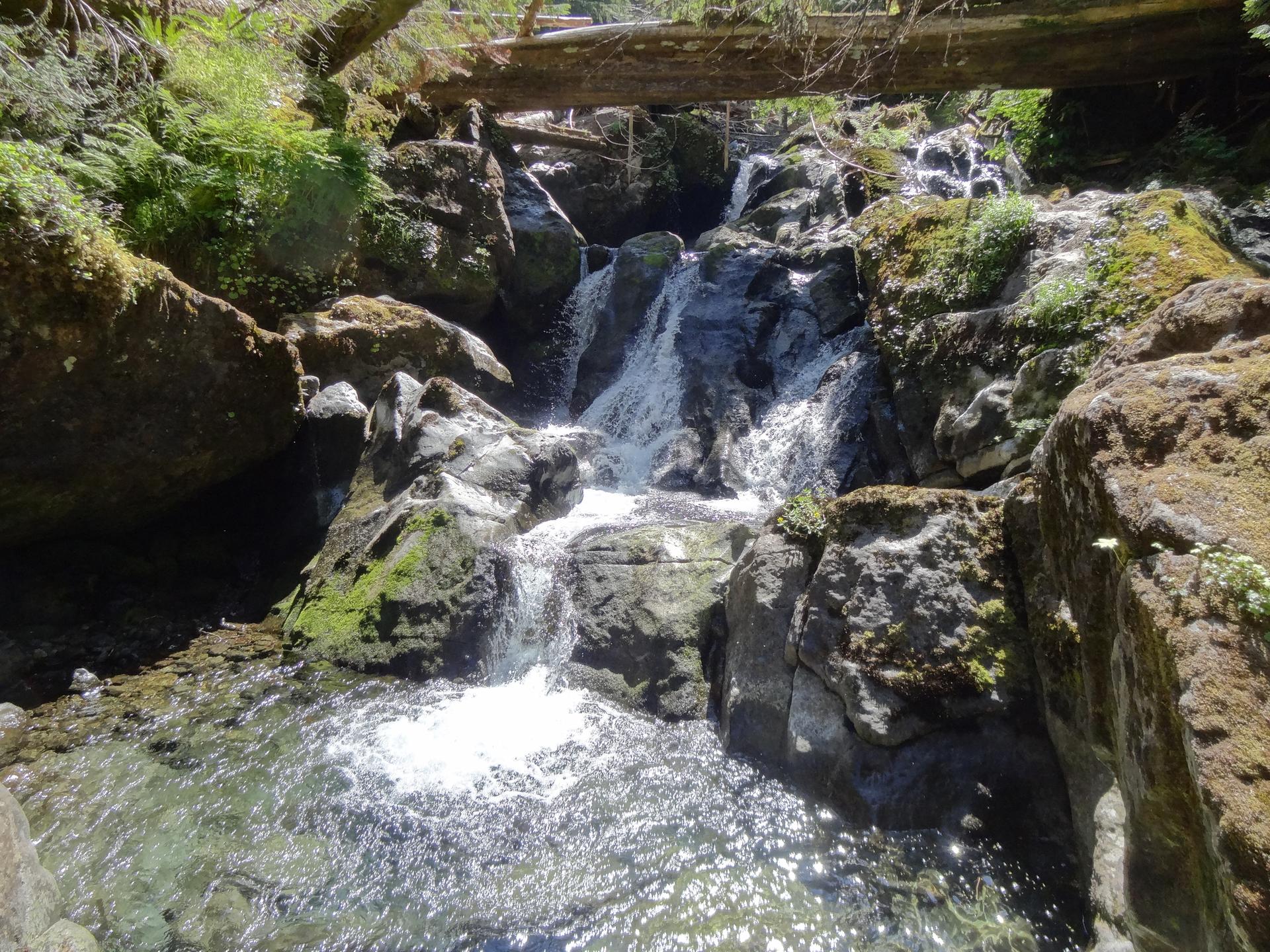 A sunlit waterfall cascades over mossy rocks in a lush, green forest.