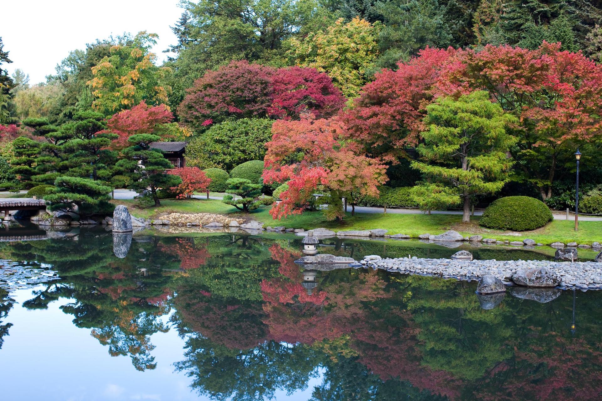 Vibrant autumn trees reflecting in a calm pond in a lush garden.
