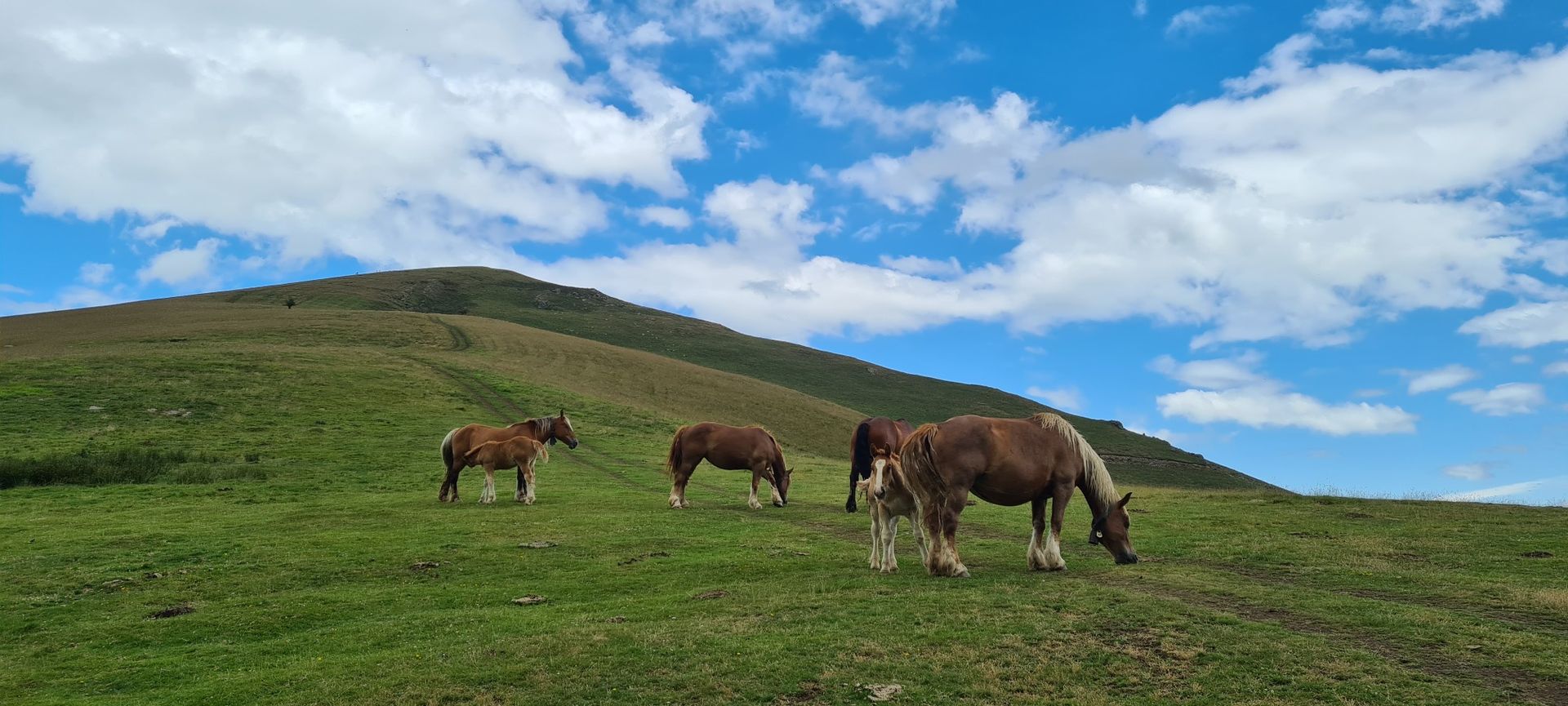 The coast to the mountains – the best hikes in Spain’s Basque Country ...