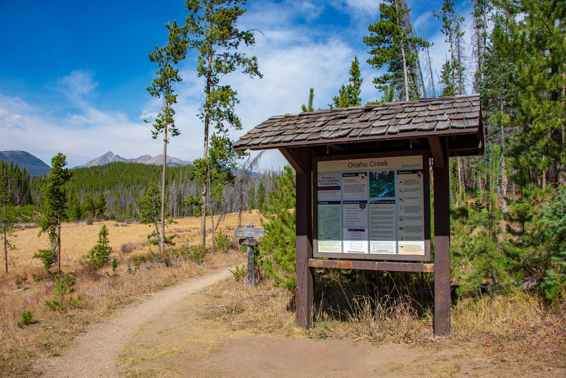 Wooden information kiosk next to a dirt path in a sunny forest.
