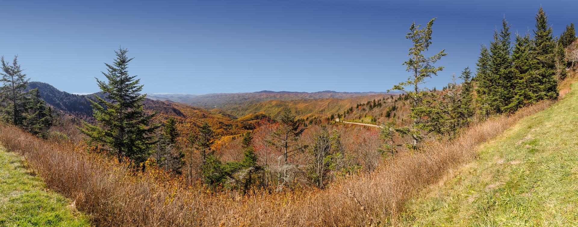 Sunny mountain panorama with evergreen and autumn-colored trees, under a clear blue sky.