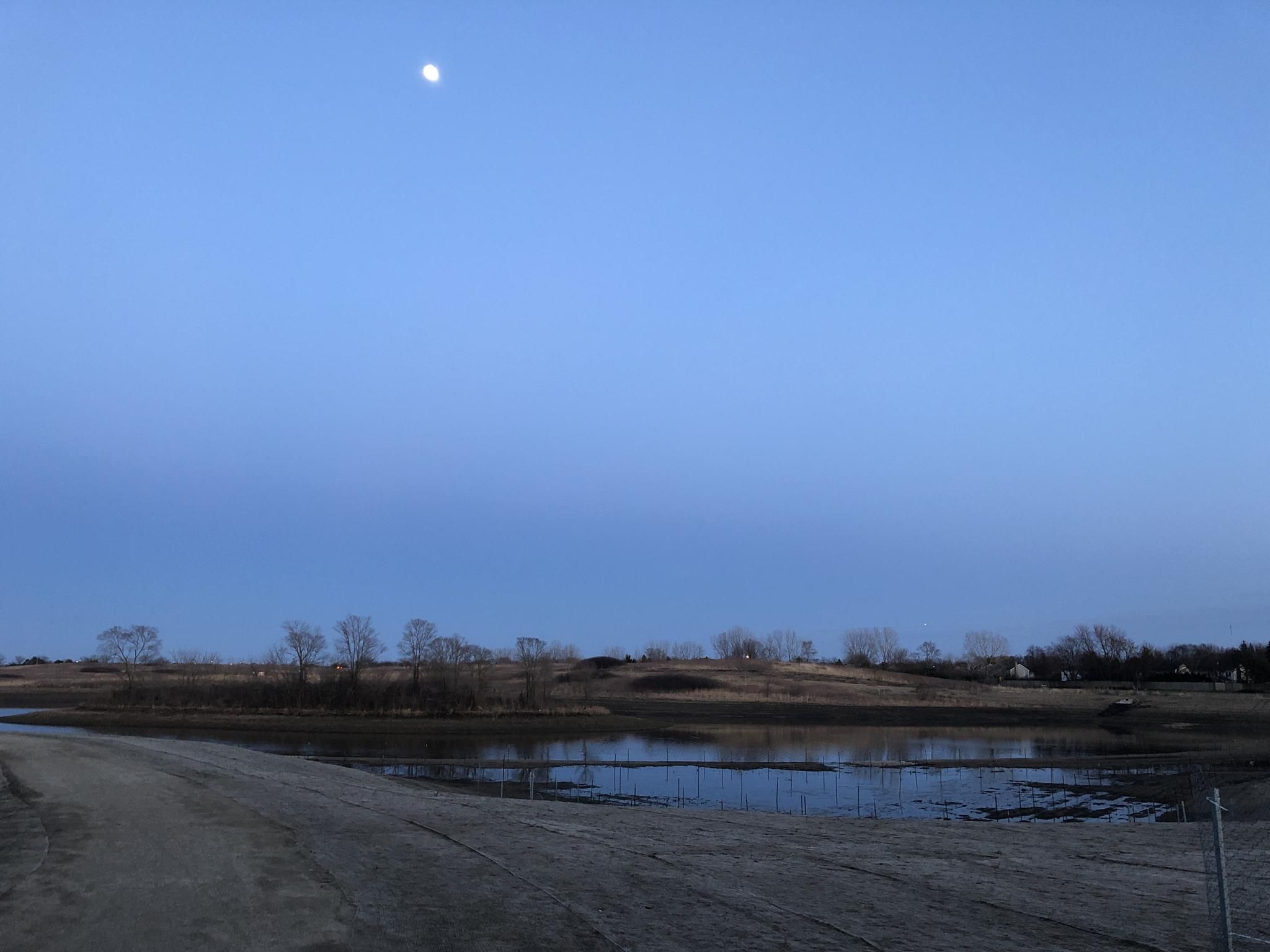 Moonlit blue sky over a calm pond with bare trees at dusk. - Buffalo Creek Forest Preserve Trail