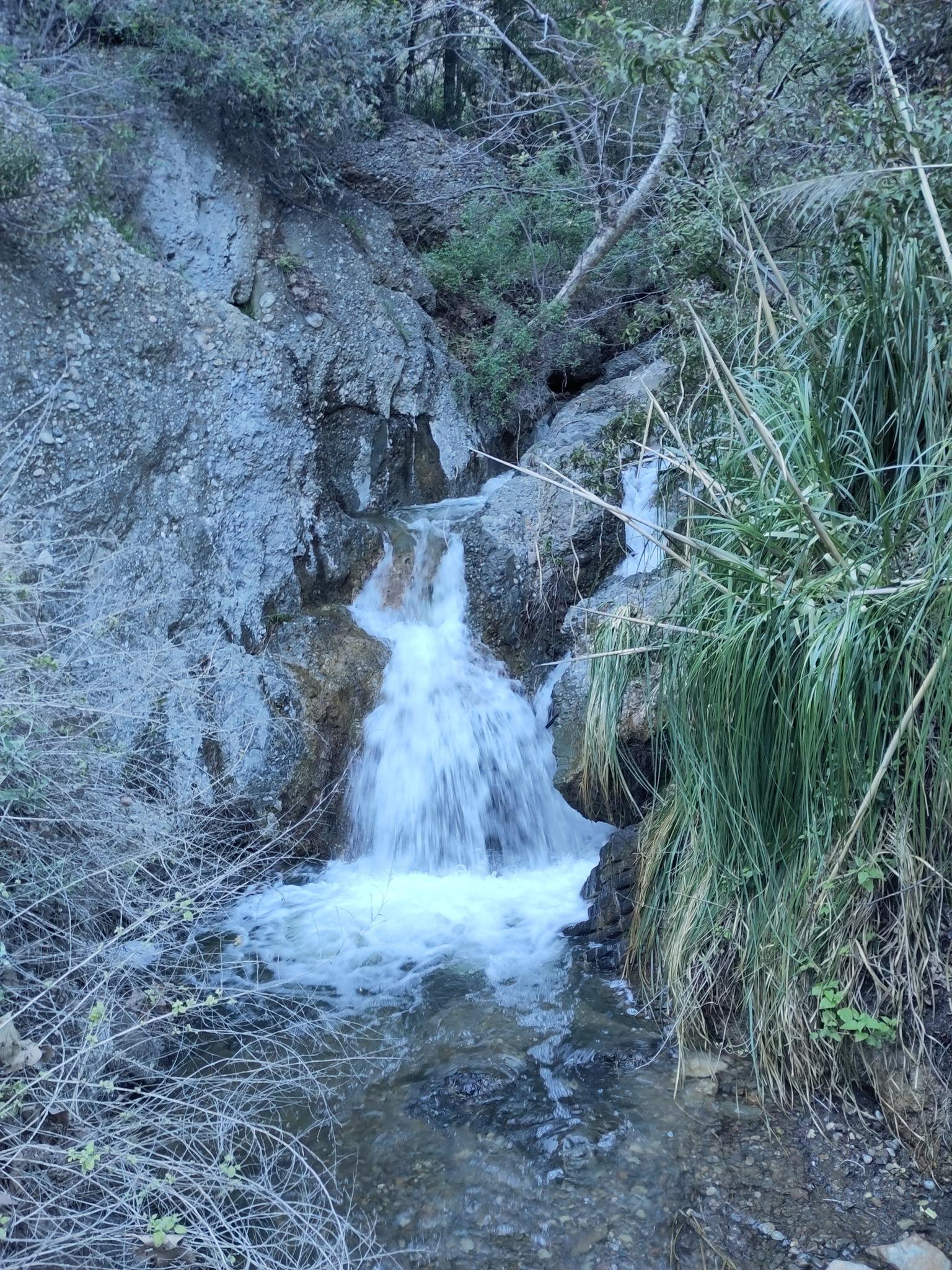 A small waterfall cascades over rocks into a stream, surrounded by green foliage.