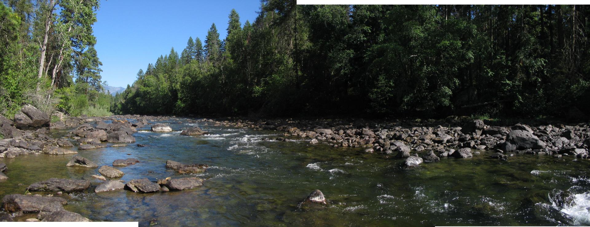 A wide, rocky river flows through a dense forest under a clear sky.