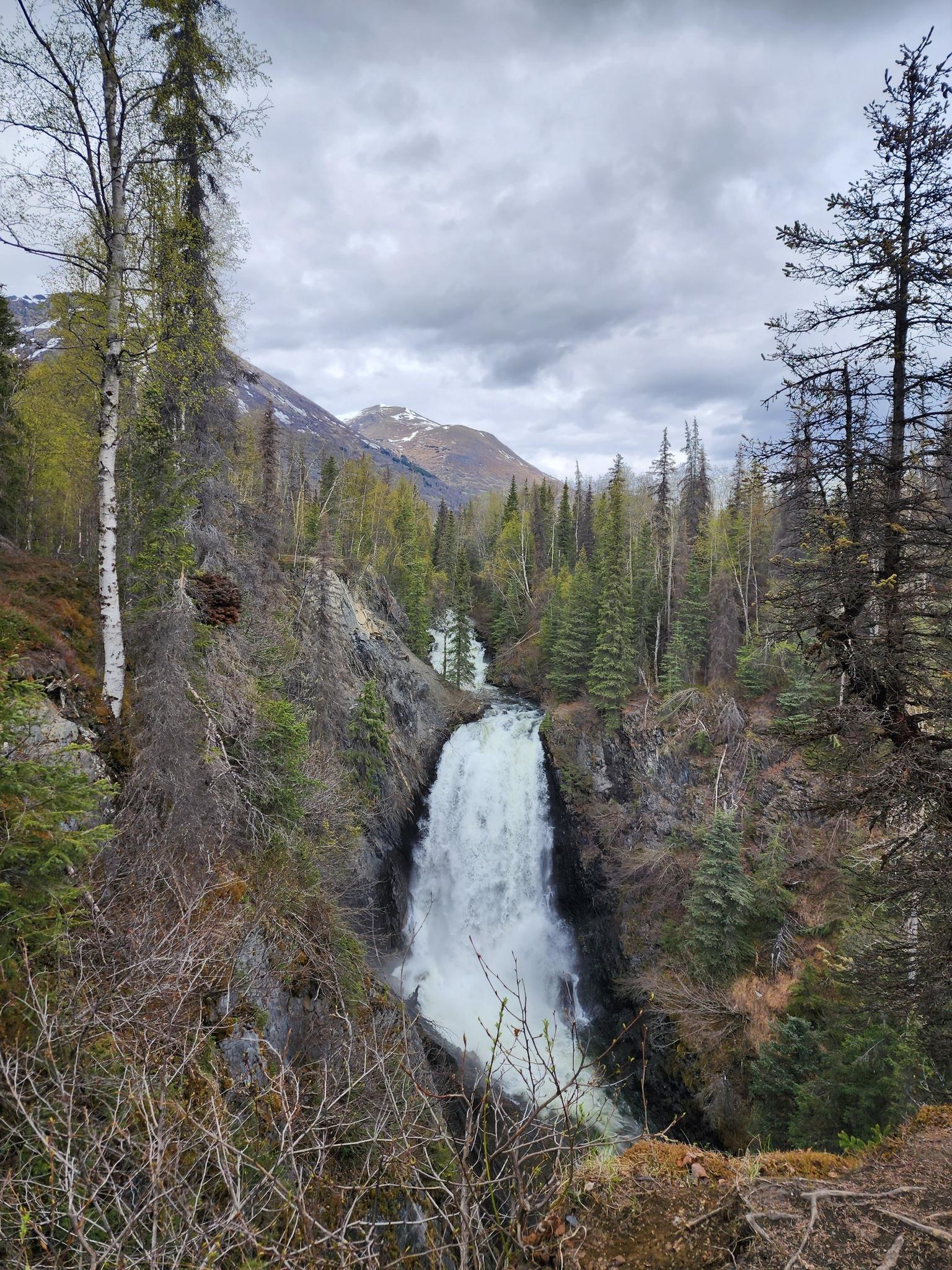 Powerful waterfall cascades through a lush forest under an overcast sky.