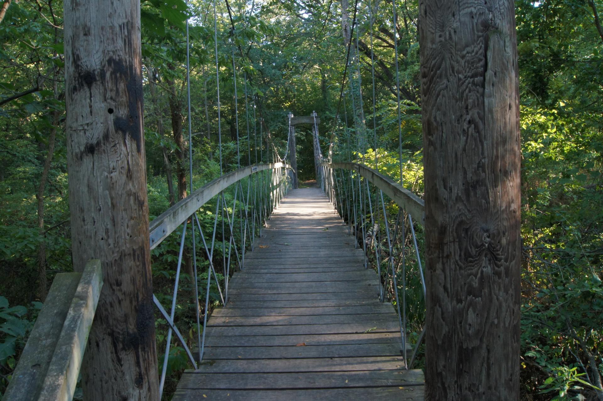 A wooden suspension bridge extends into a lush green, sun-dappled forest.