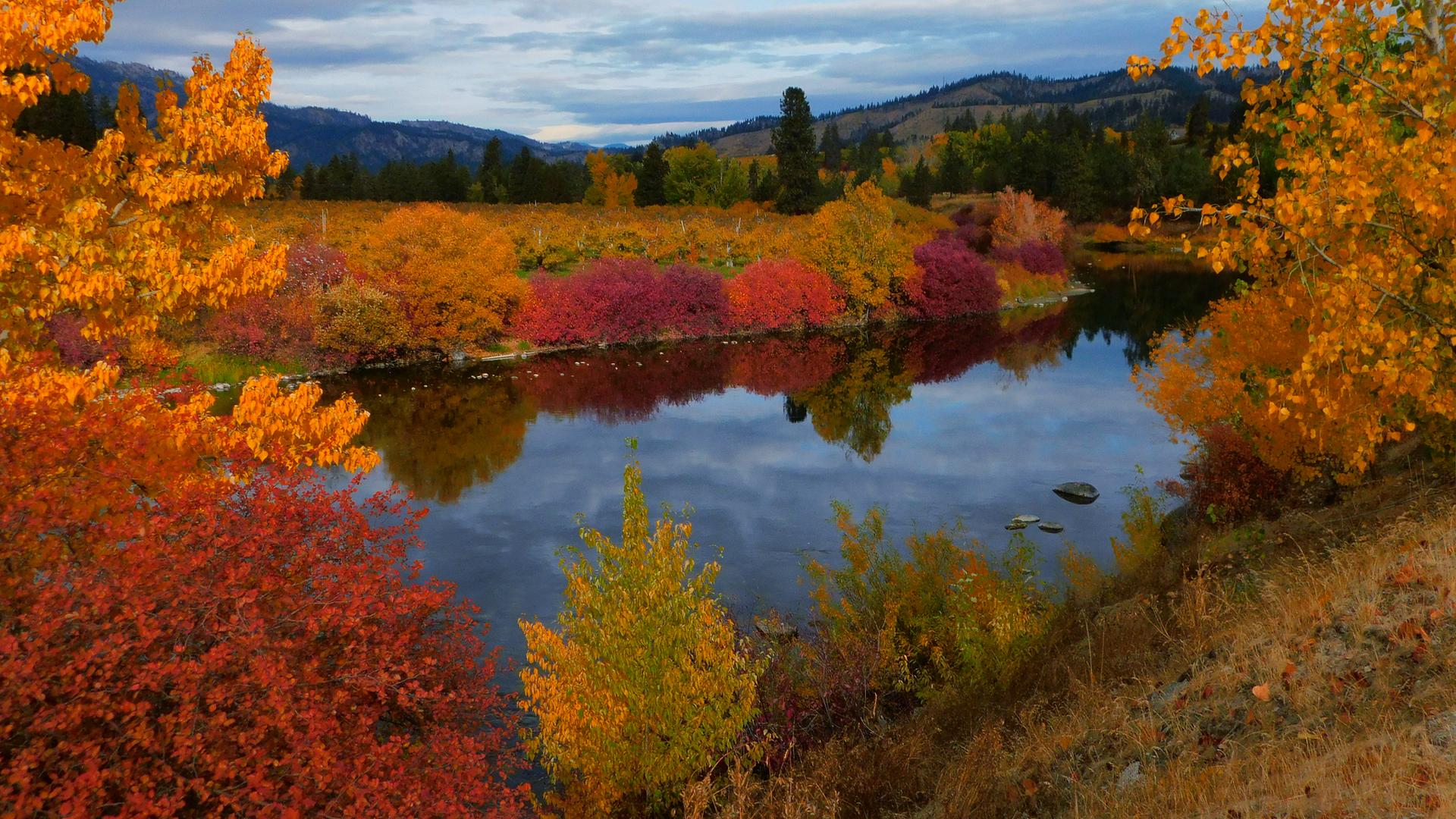 A serene river reflects colorful autumn trees and distant mountains under a cloudy sky.