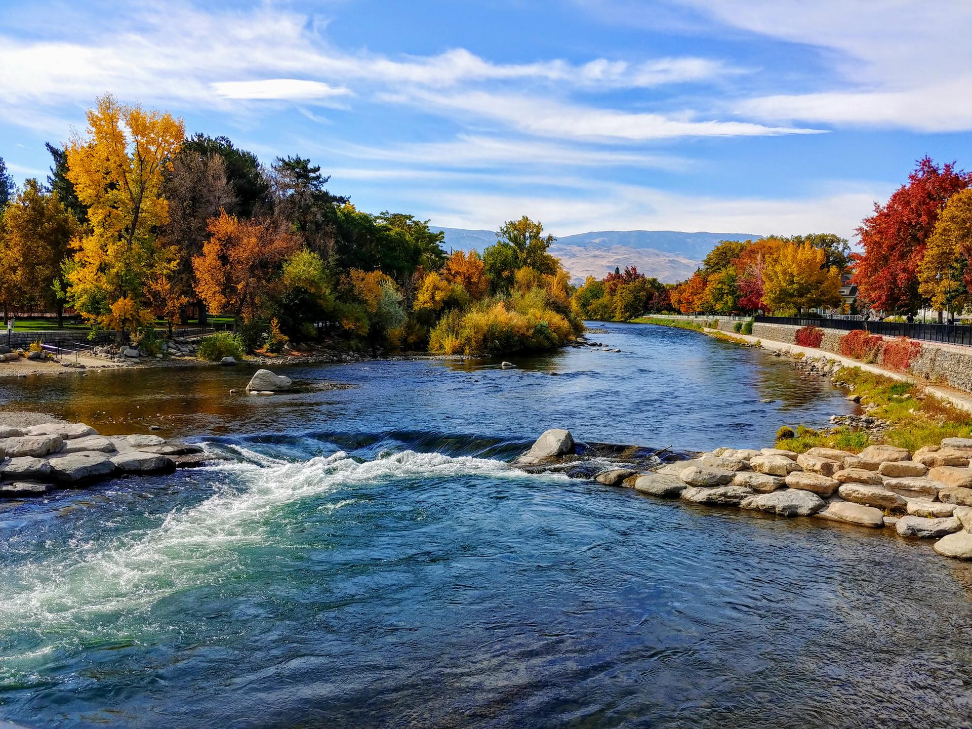 A river with rapids flows past vibrant autumn trees under a bright sky.