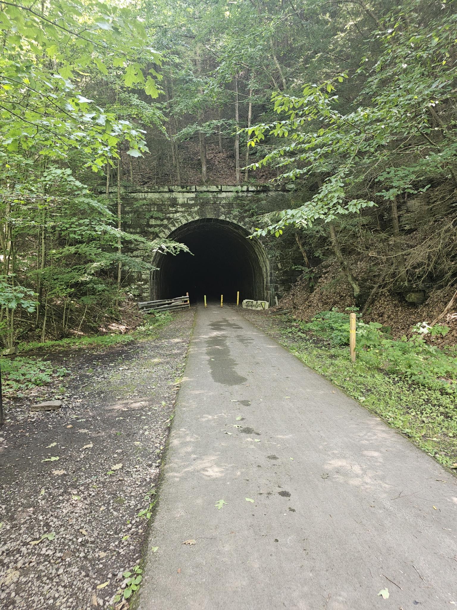 Paved path leading into a dark tunnel surrounded by dense forest.