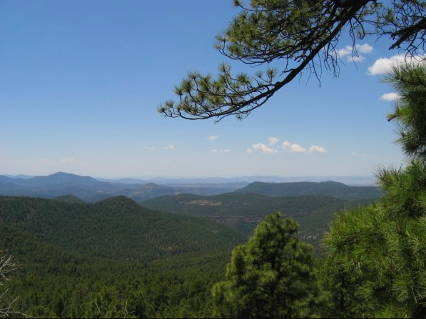 Panoramic view of vast forested mountains under a clear blue sky.