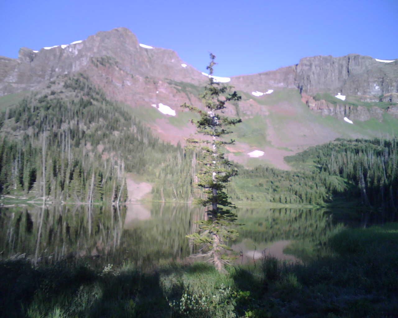 Tall pine by calm lake reflecting forested mountains with snow patches under clear sky.
