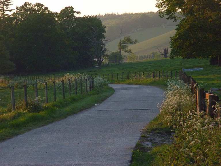 Old Palm and Chazey Wood loop from Caversham Heights — Chiltern Hills