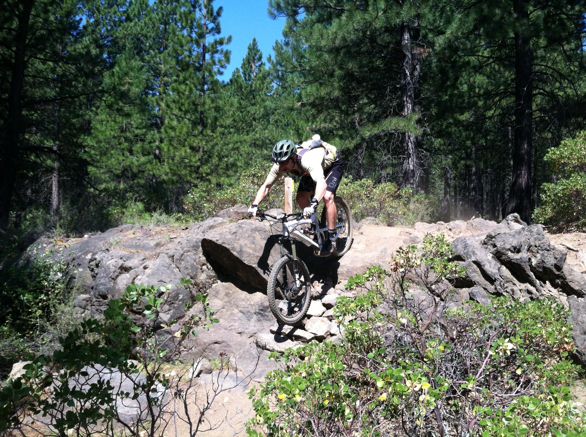 Man mountain biking downhill on a rocky, forested trail in bright sun.
