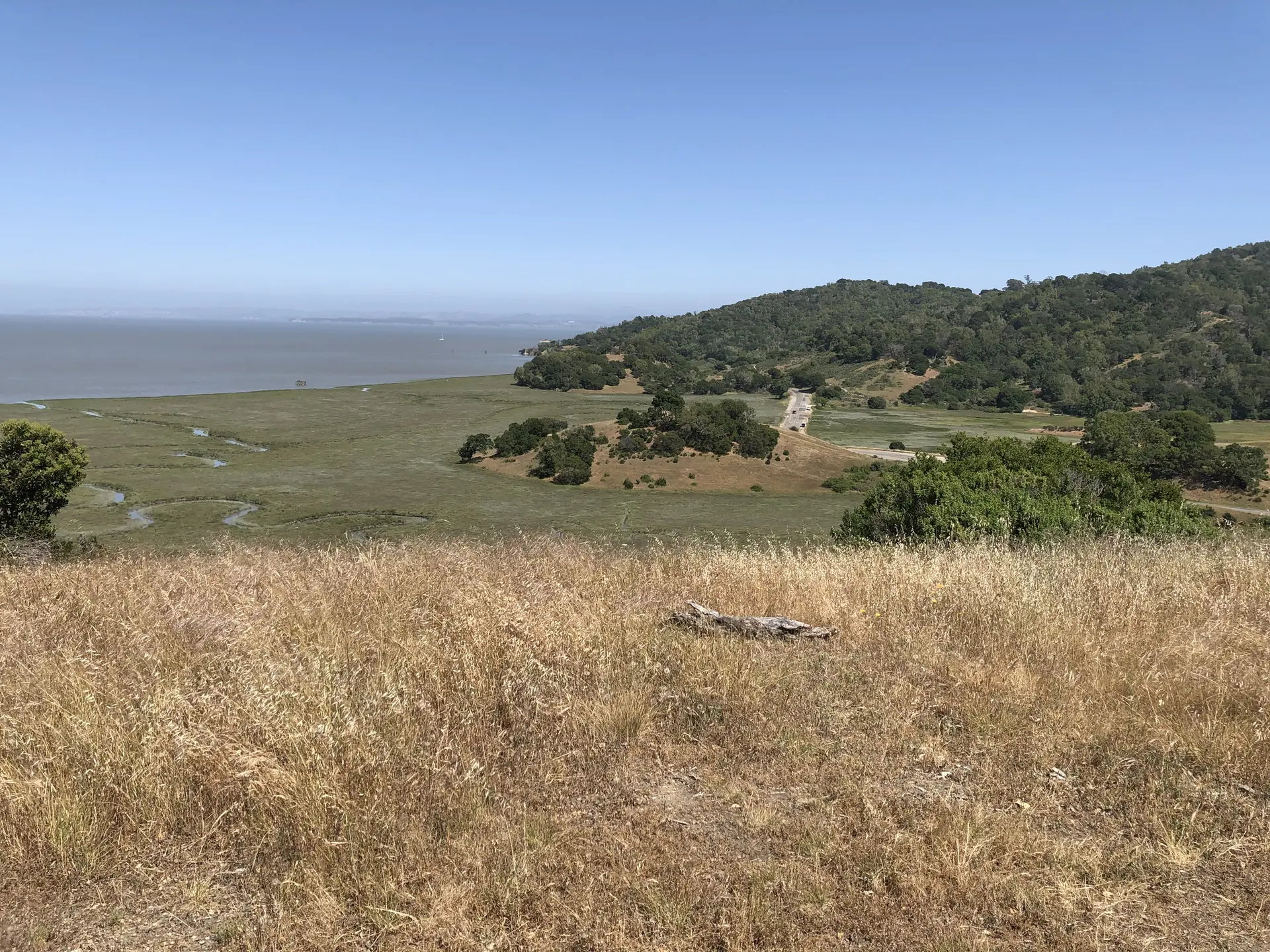 Golden grass field overlooking a bay, marshland, and green hills.